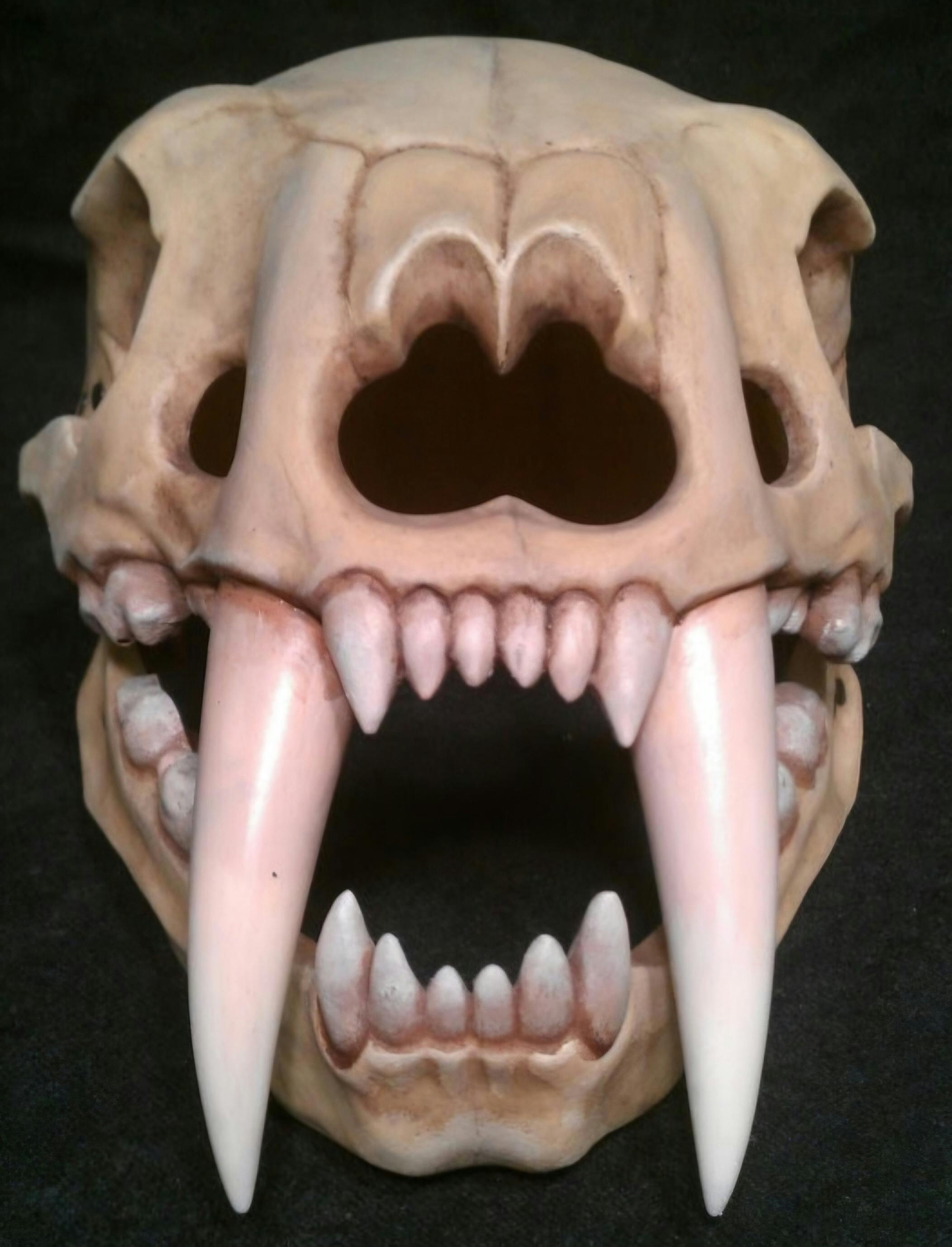 user avatar image for GeekGamer