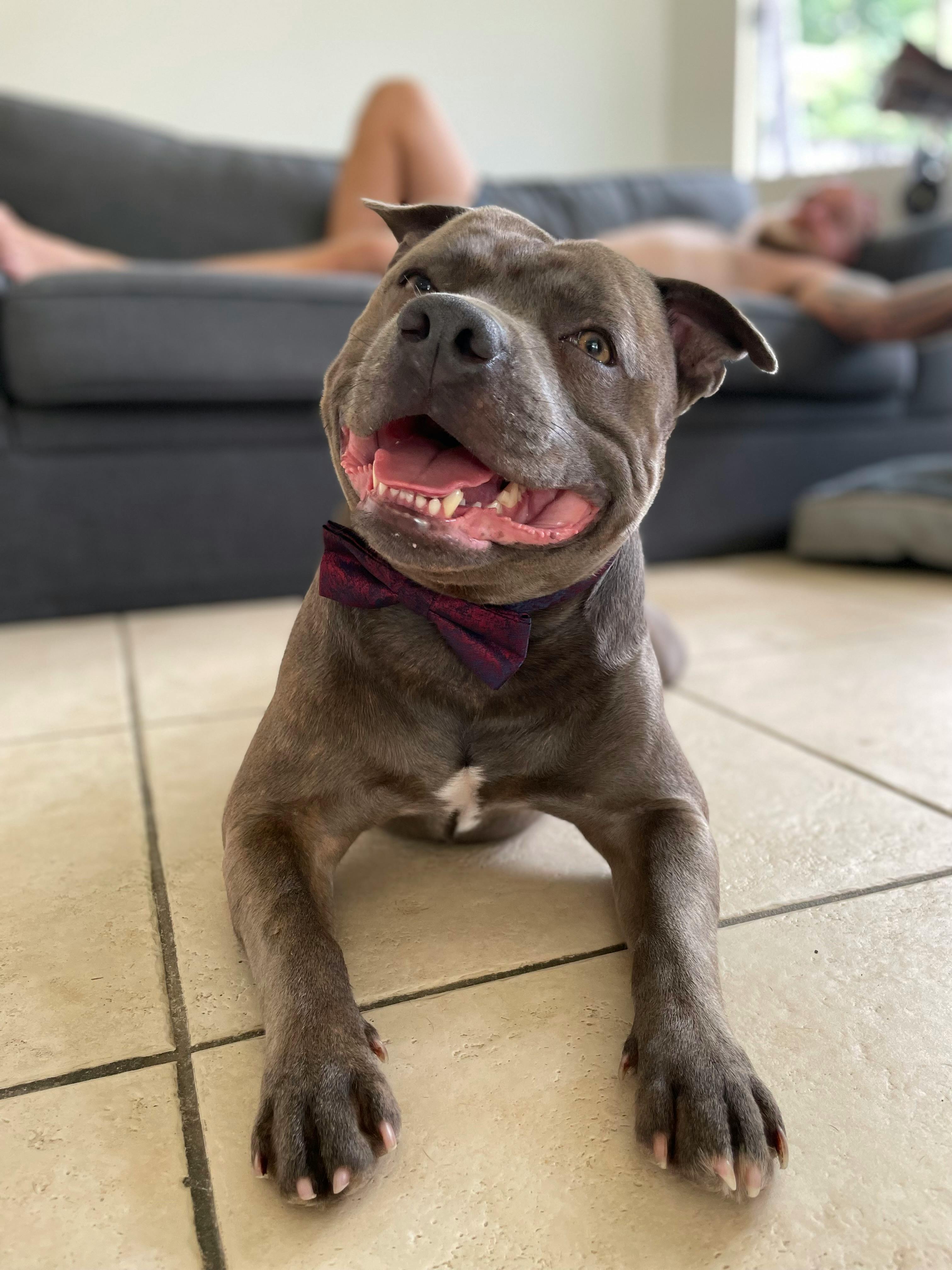 user avatar image for S.S Colebert