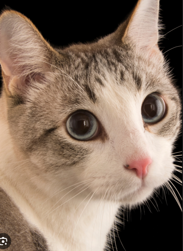 user avatar image for Stanislawa 