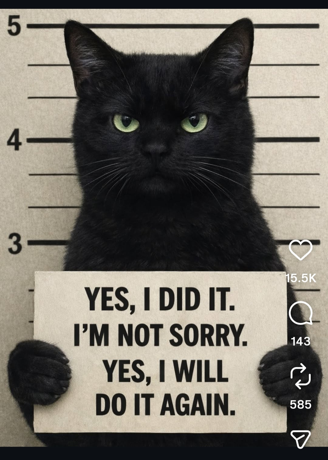 user avatar image for Andrea