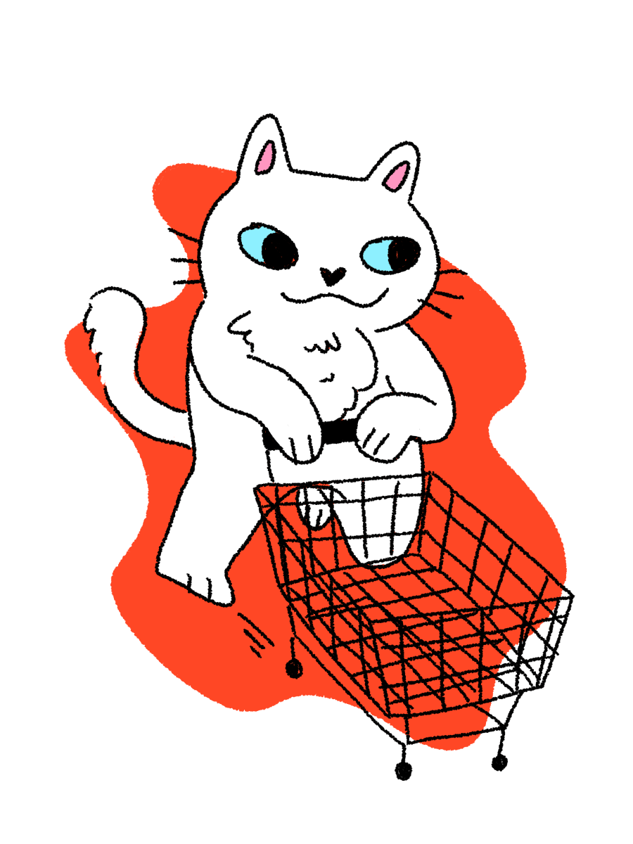 Silly Guy Shopping Cart