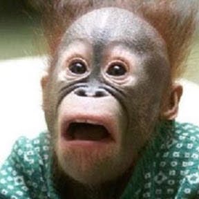 user avatar image for TNRufus