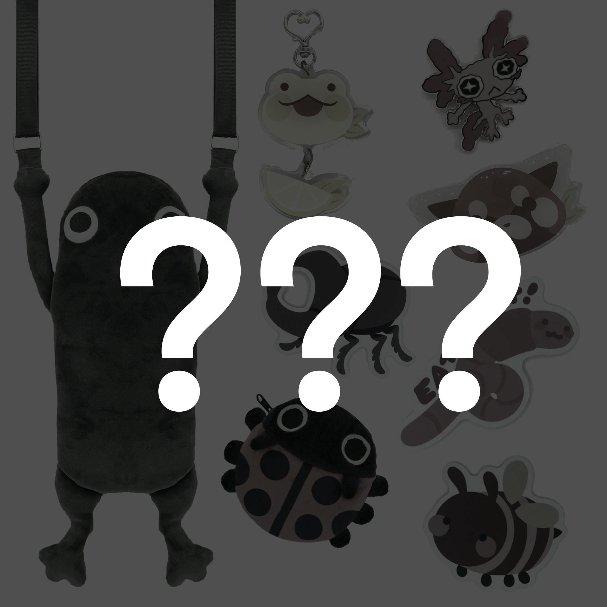 B-Grade MYSTERY Frog Bag