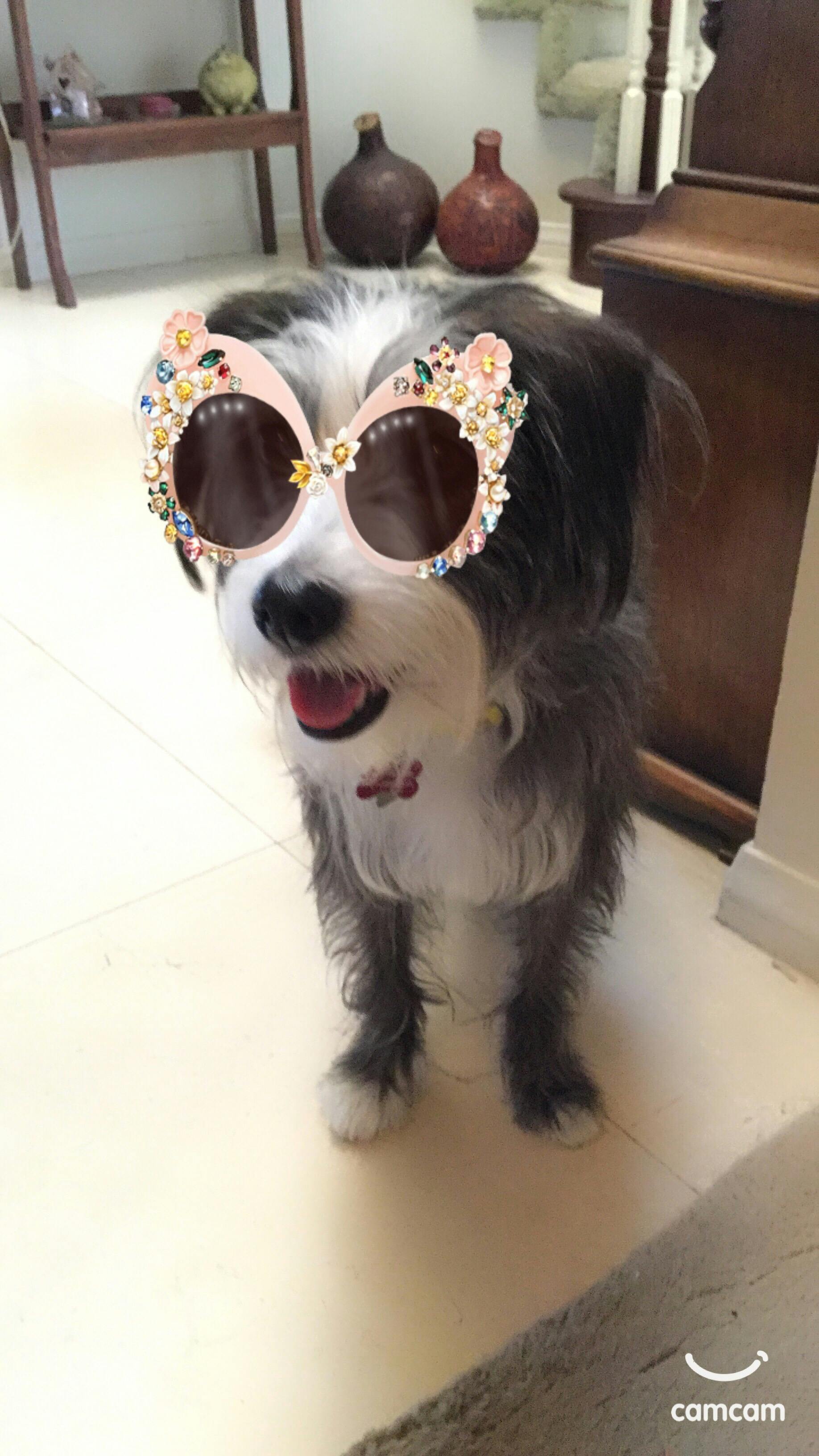 user avatar image for Christine Mush