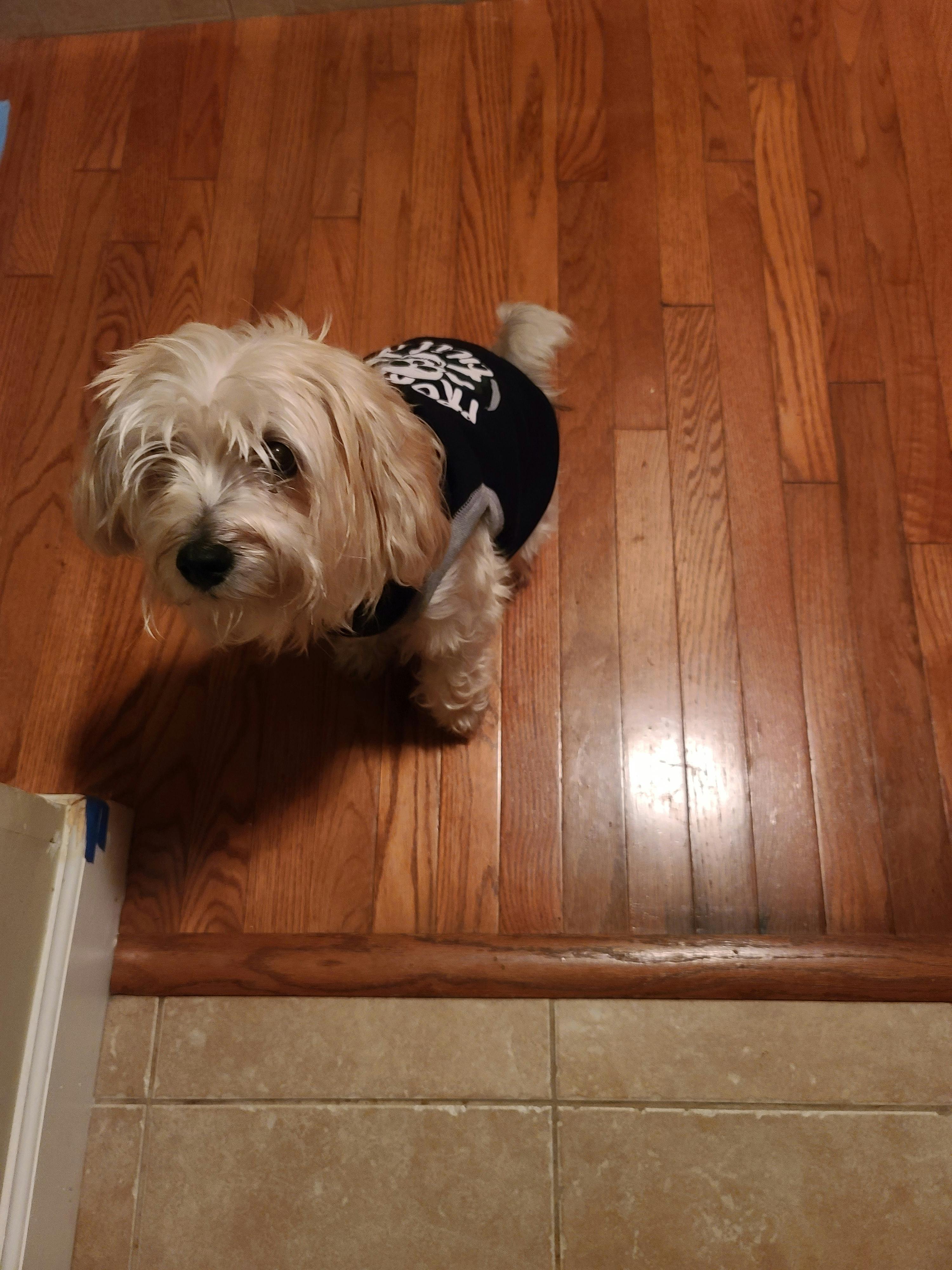 user avatar image for KalaBrock