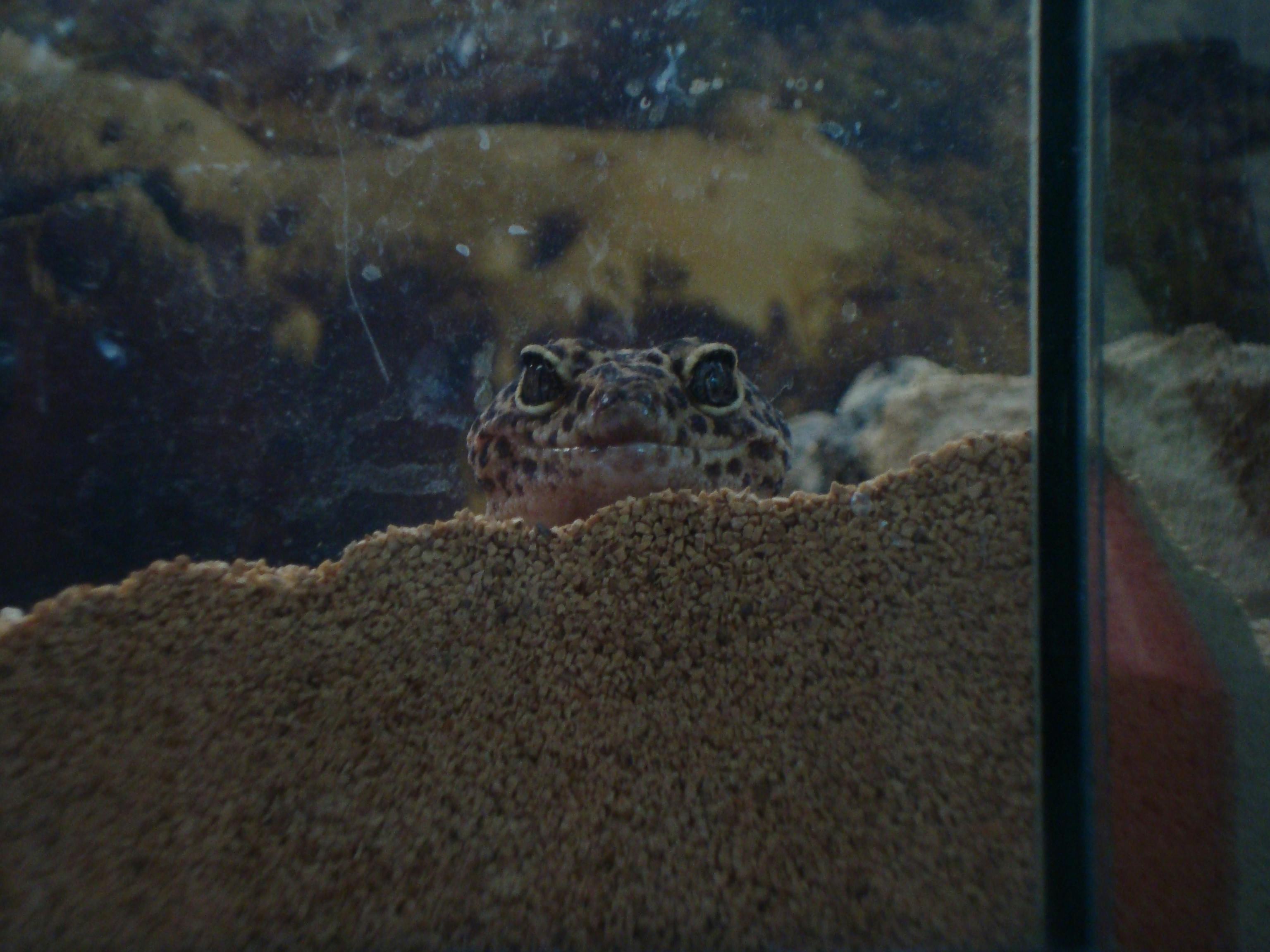 user avatar image for Taylor