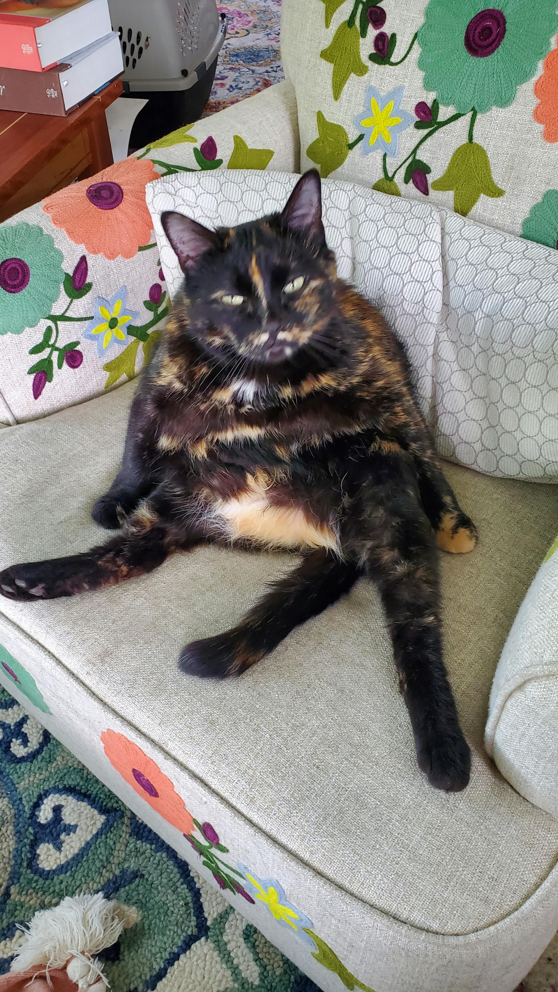 user avatar image for Jam Bagels