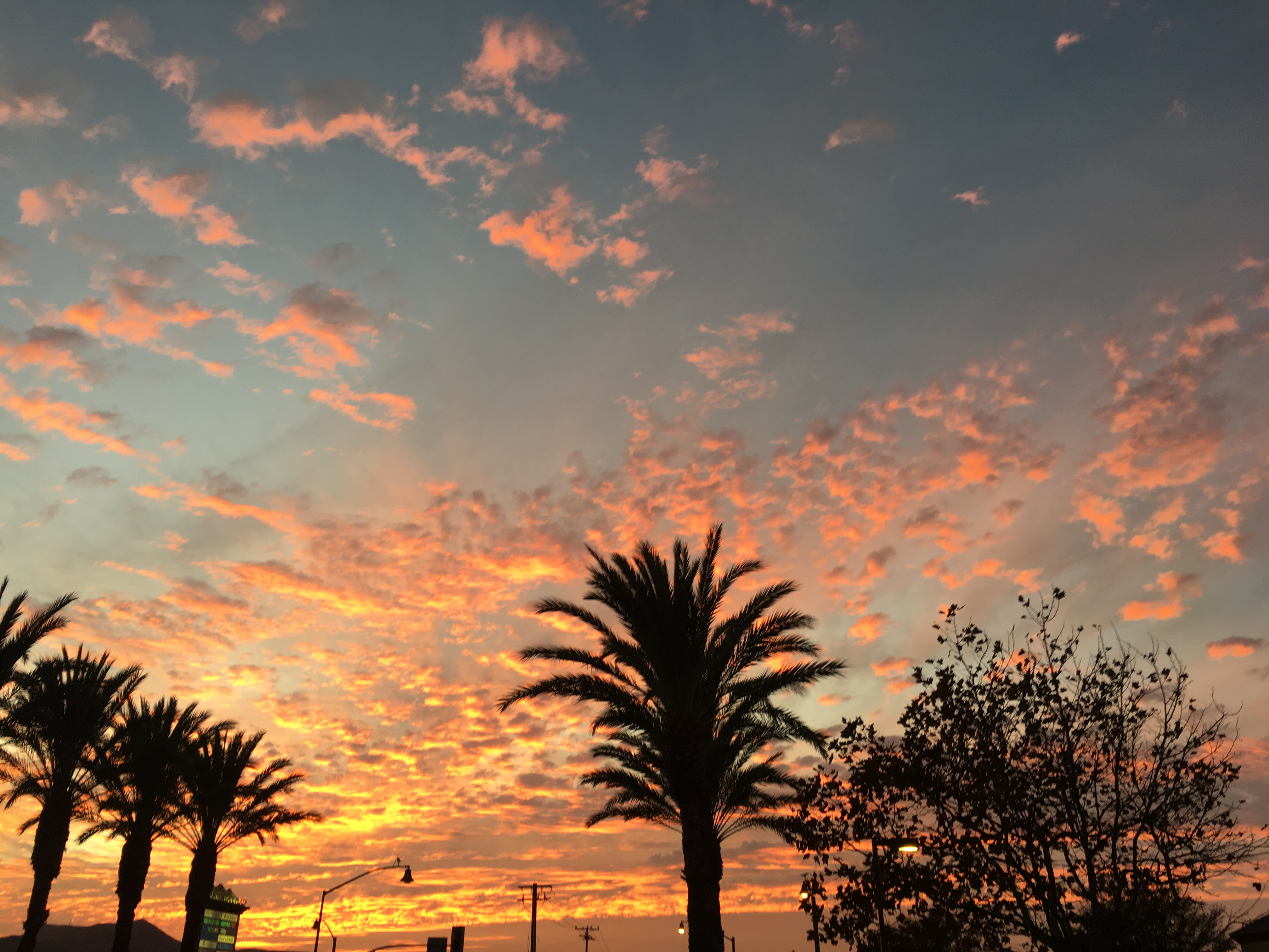 user avatar image for Shockwave