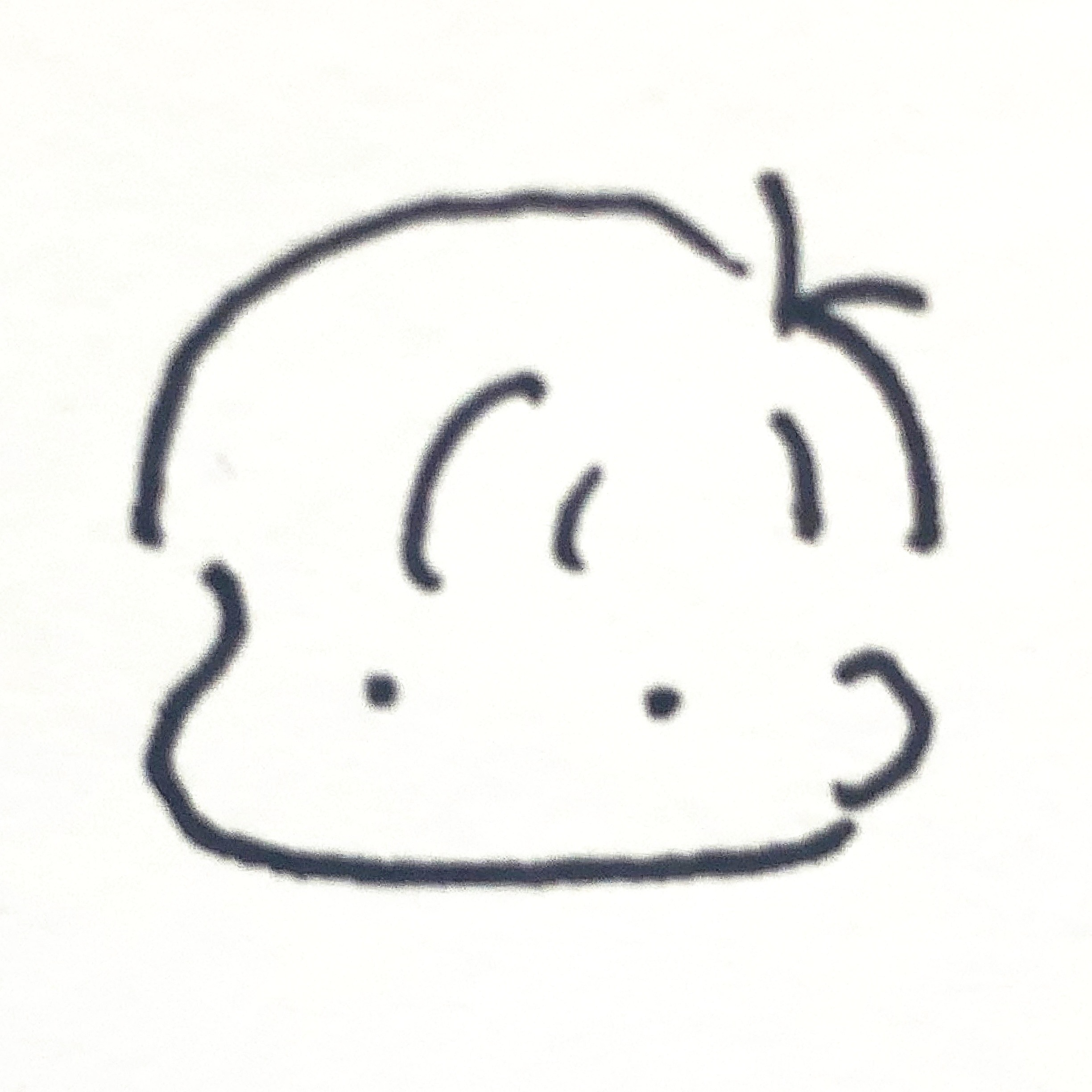 user avatar image for Kazuma Suzuki