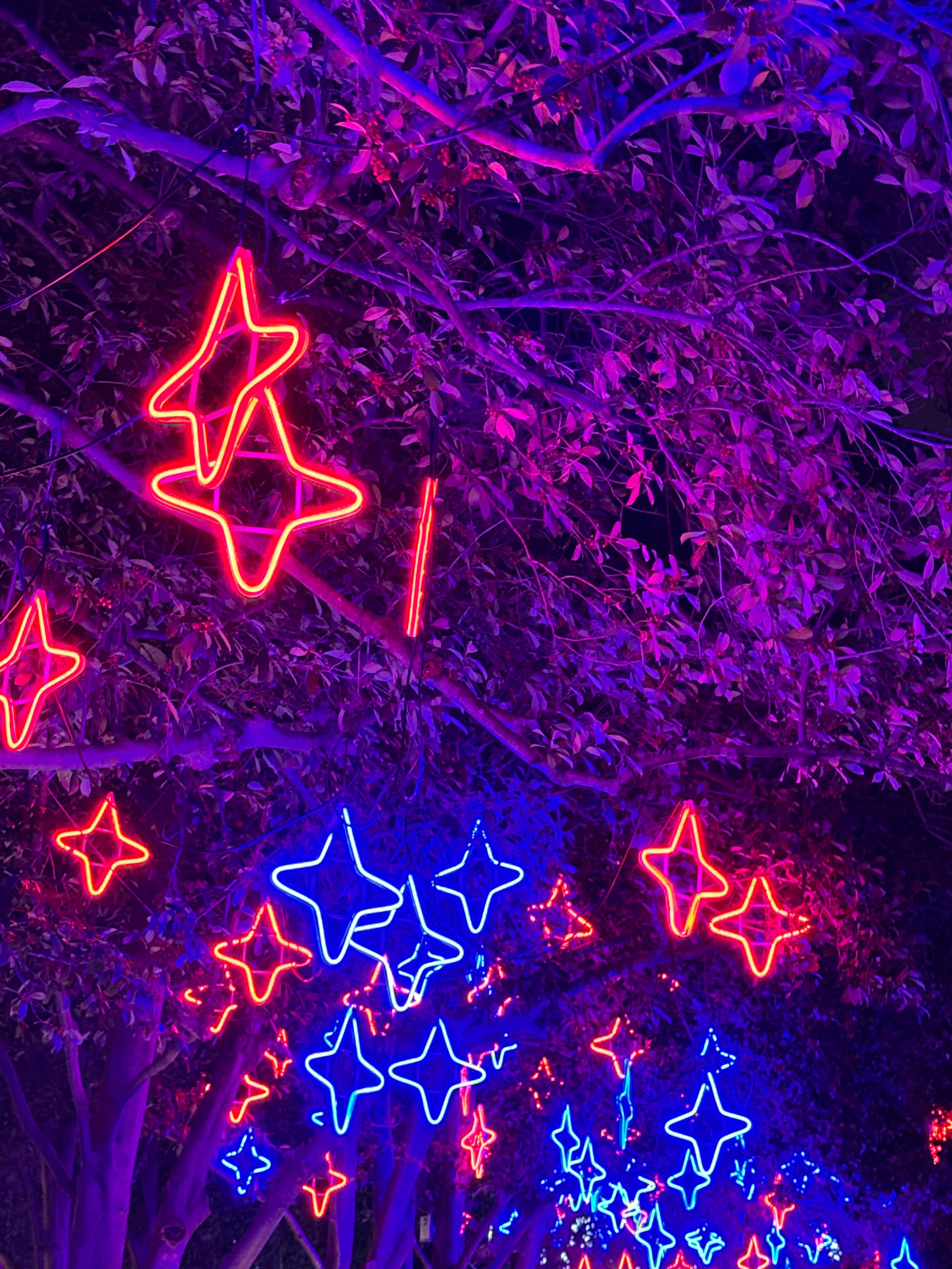 user avatar image for CoyoteLuke