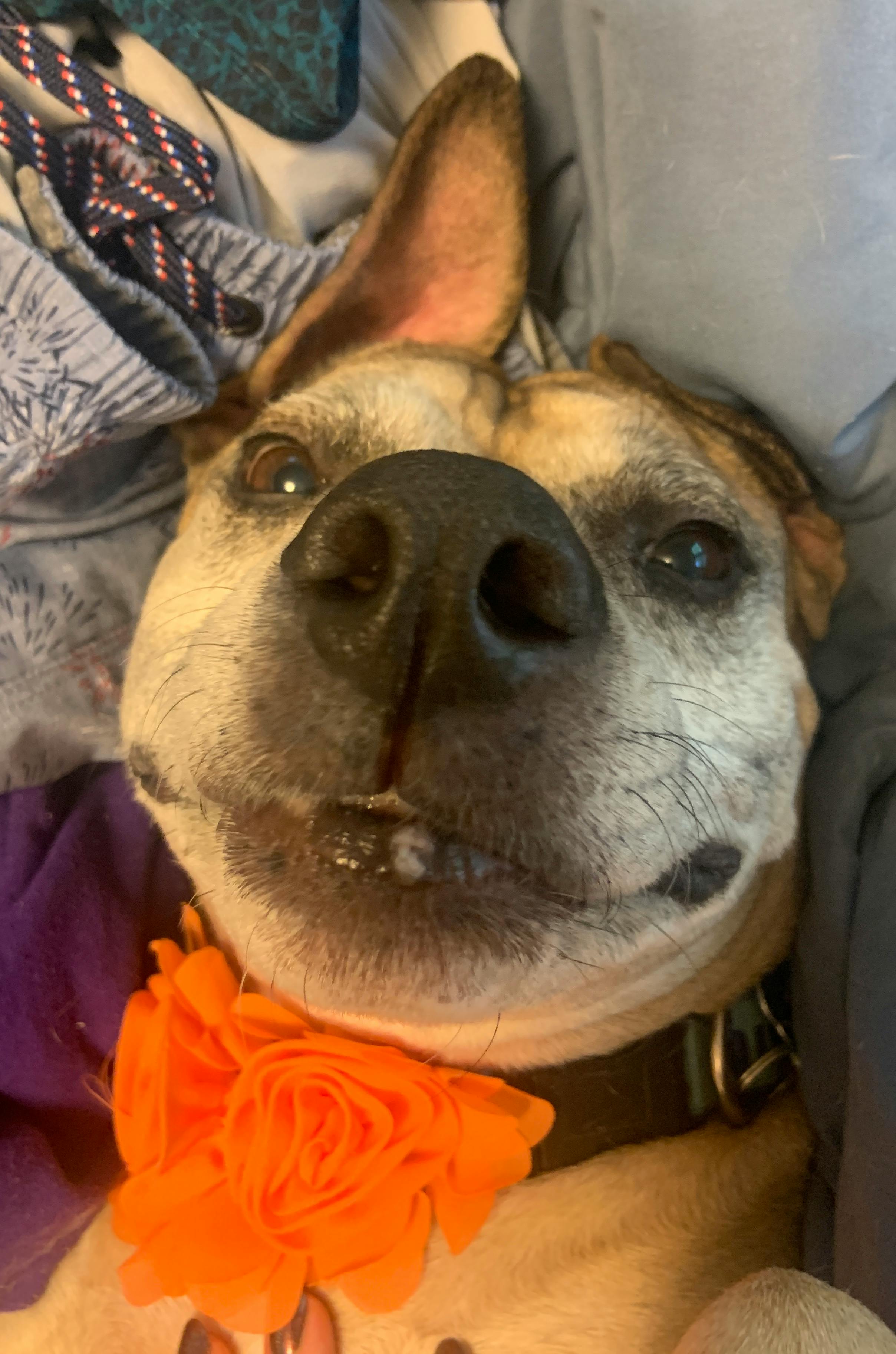 user avatar image for Abby