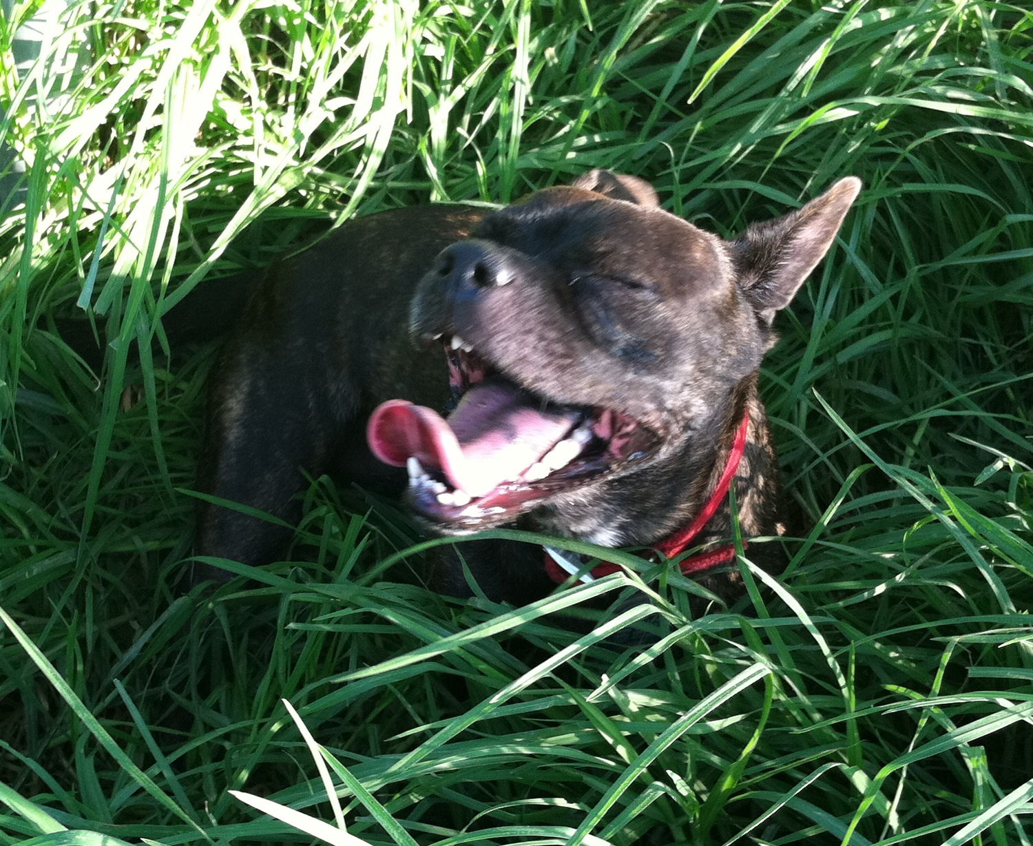 user avatar image for Lauren