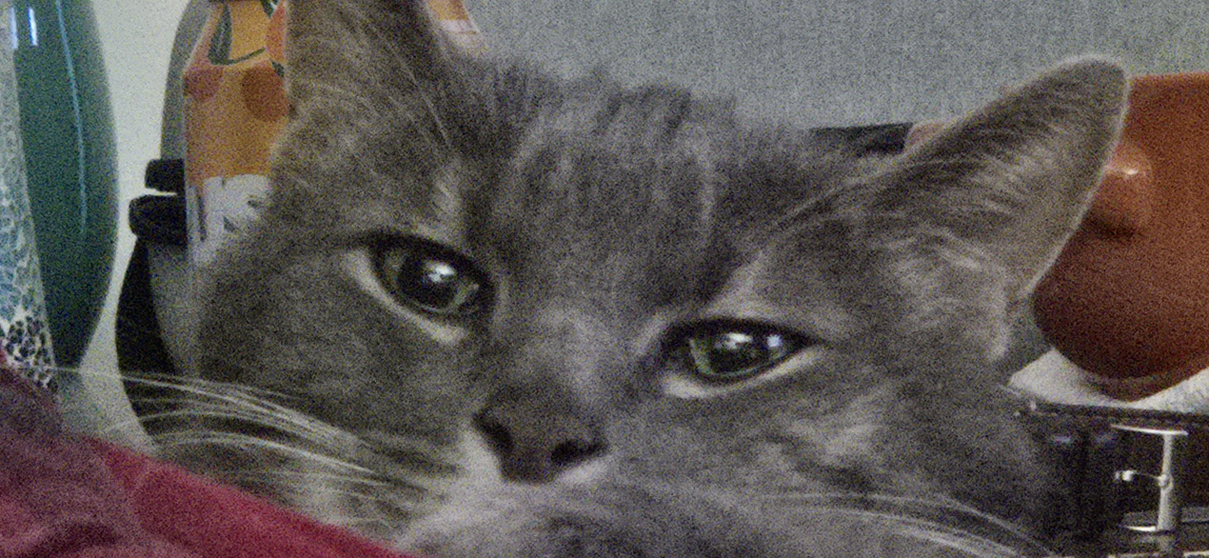 user avatar image for RethOtto