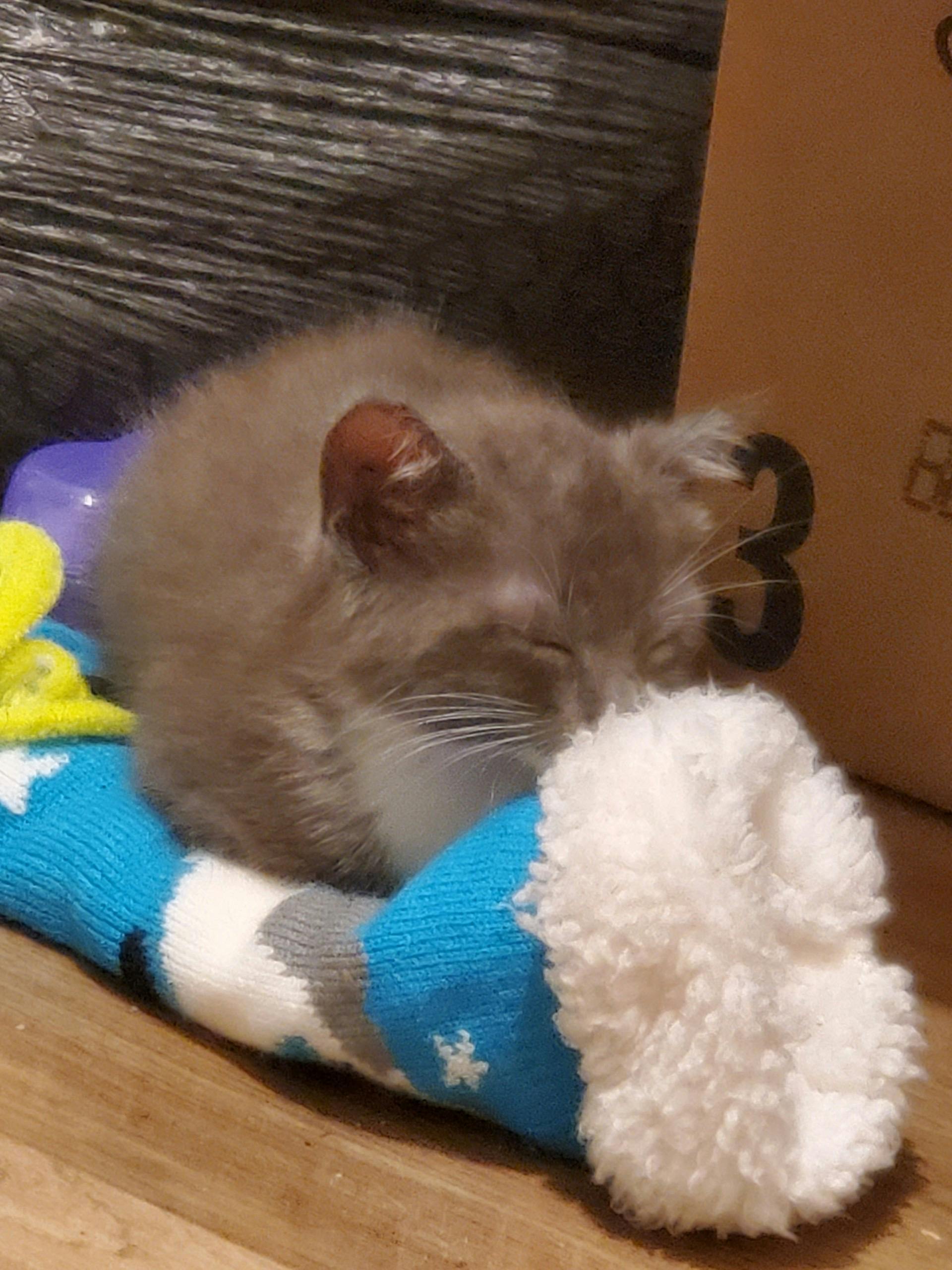 user avatar image for Alkaios Lykos