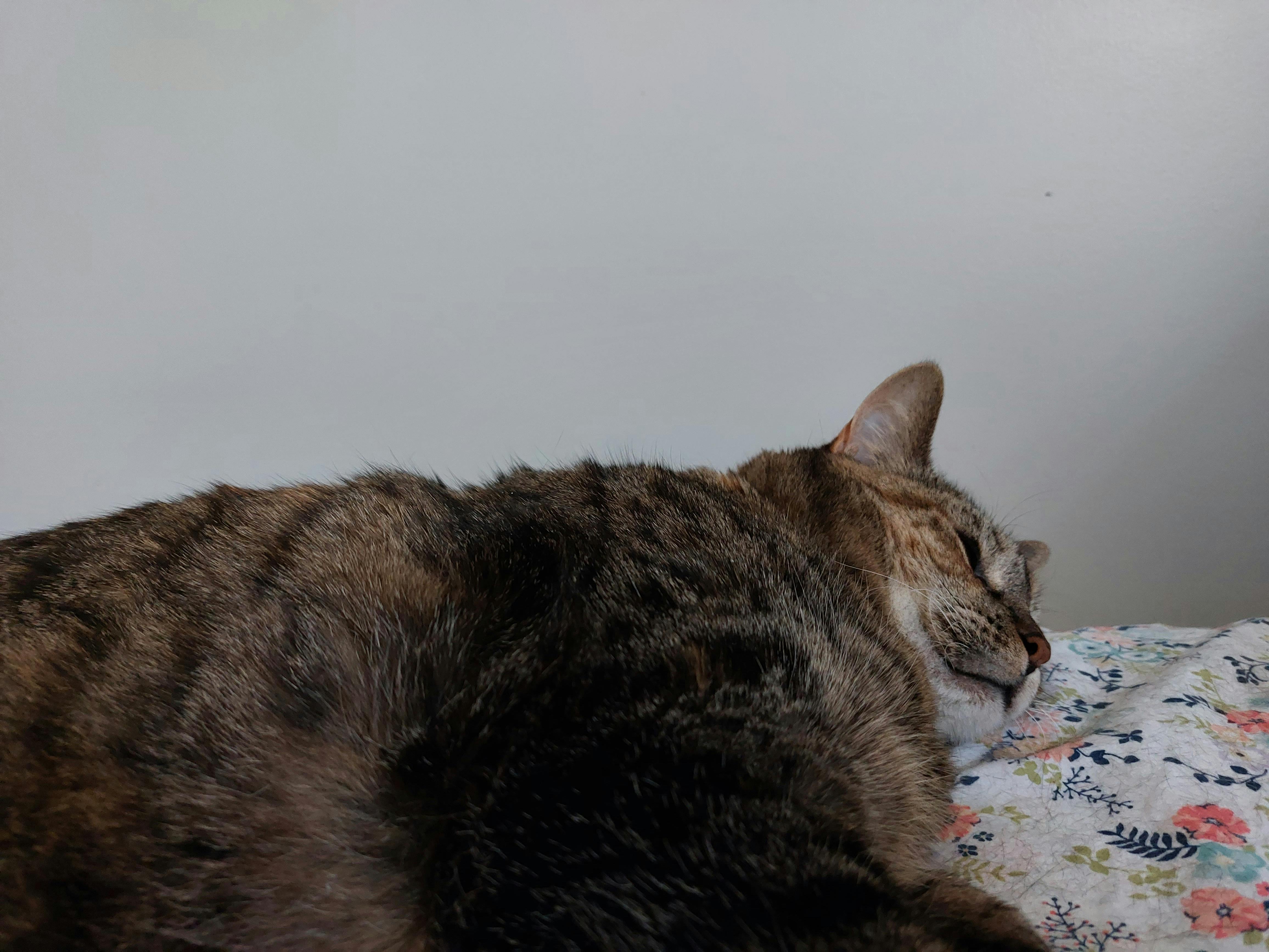 user avatar image for Sunshine6172 