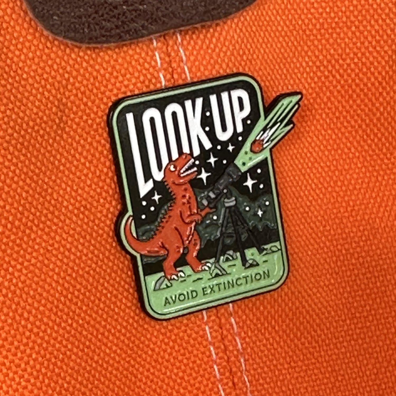 Look Up! Dino Extinction Pin