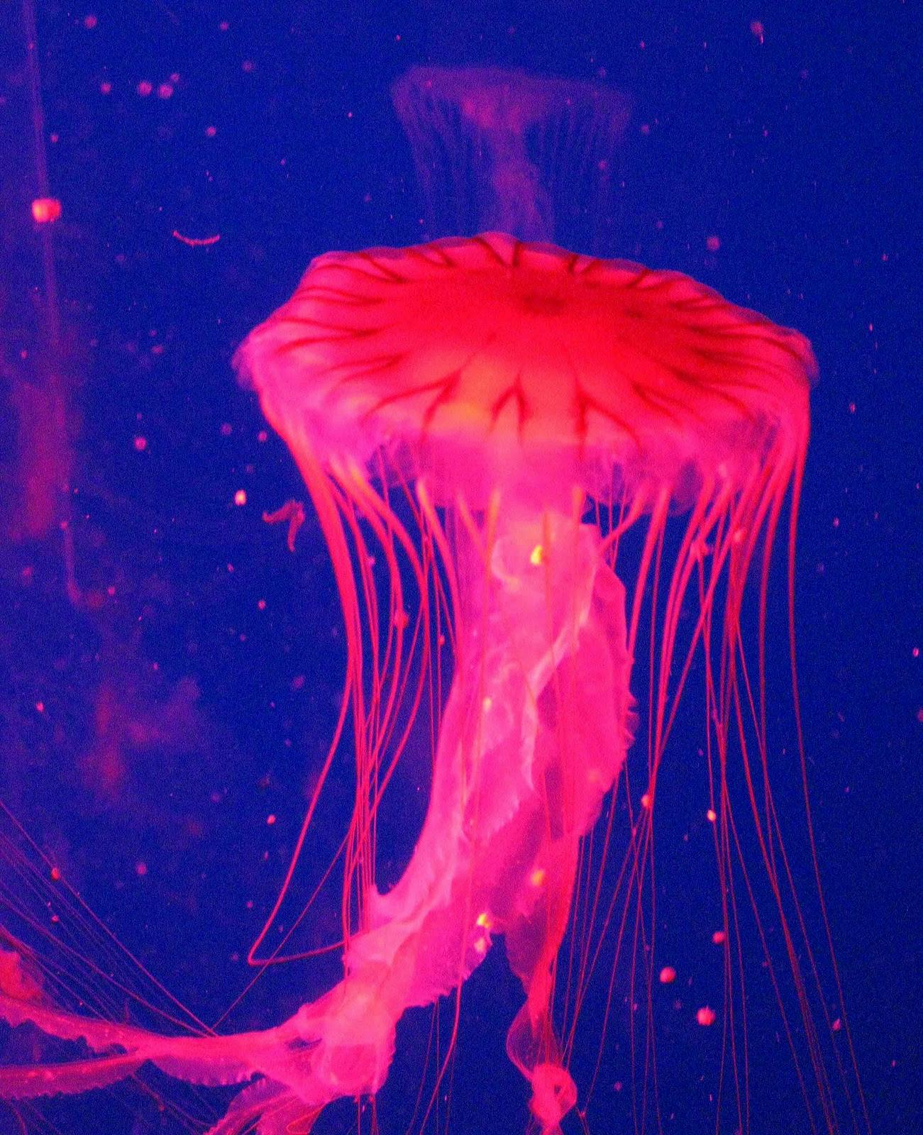 user avatar image for Joseph Winchester