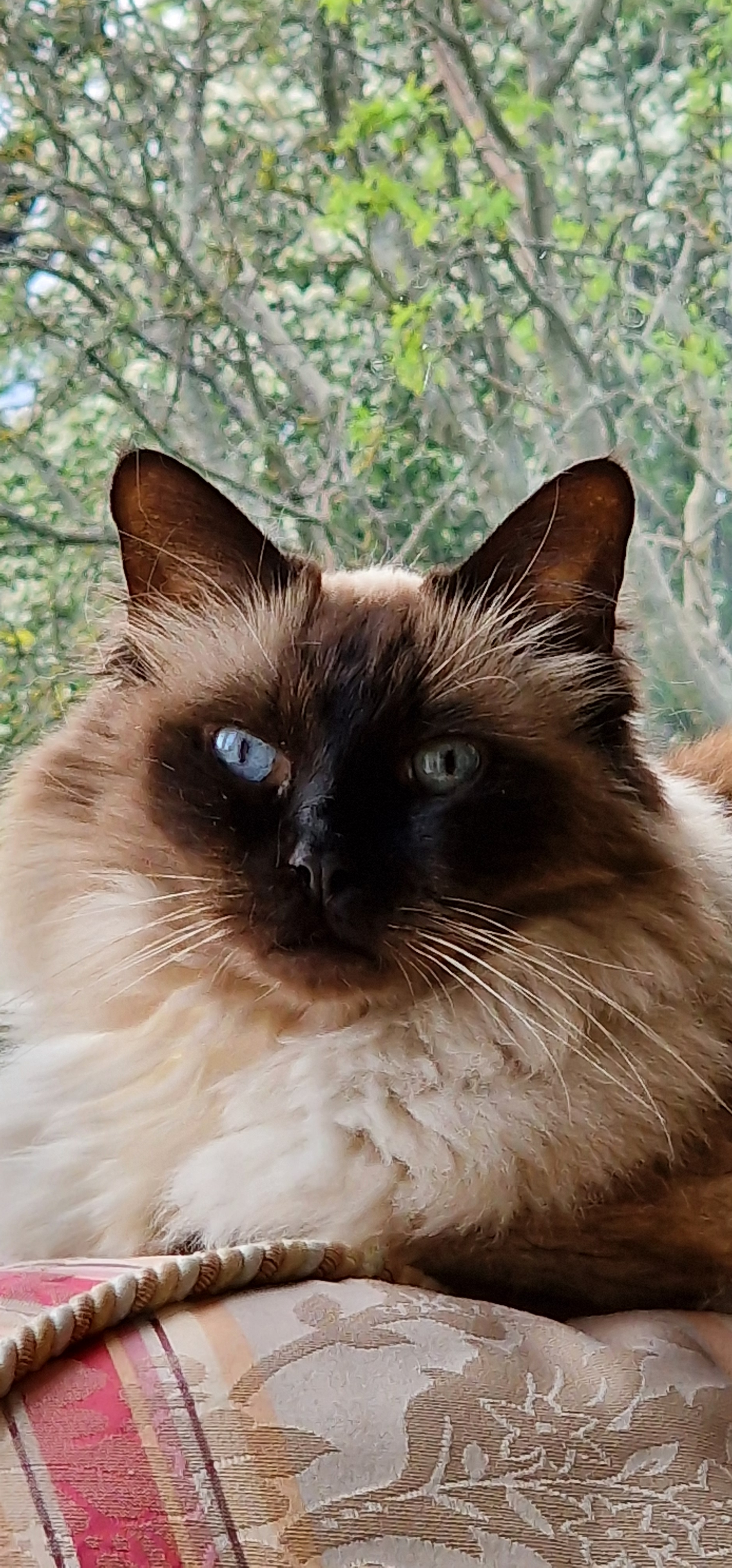 user avatar image for Oliver Millin