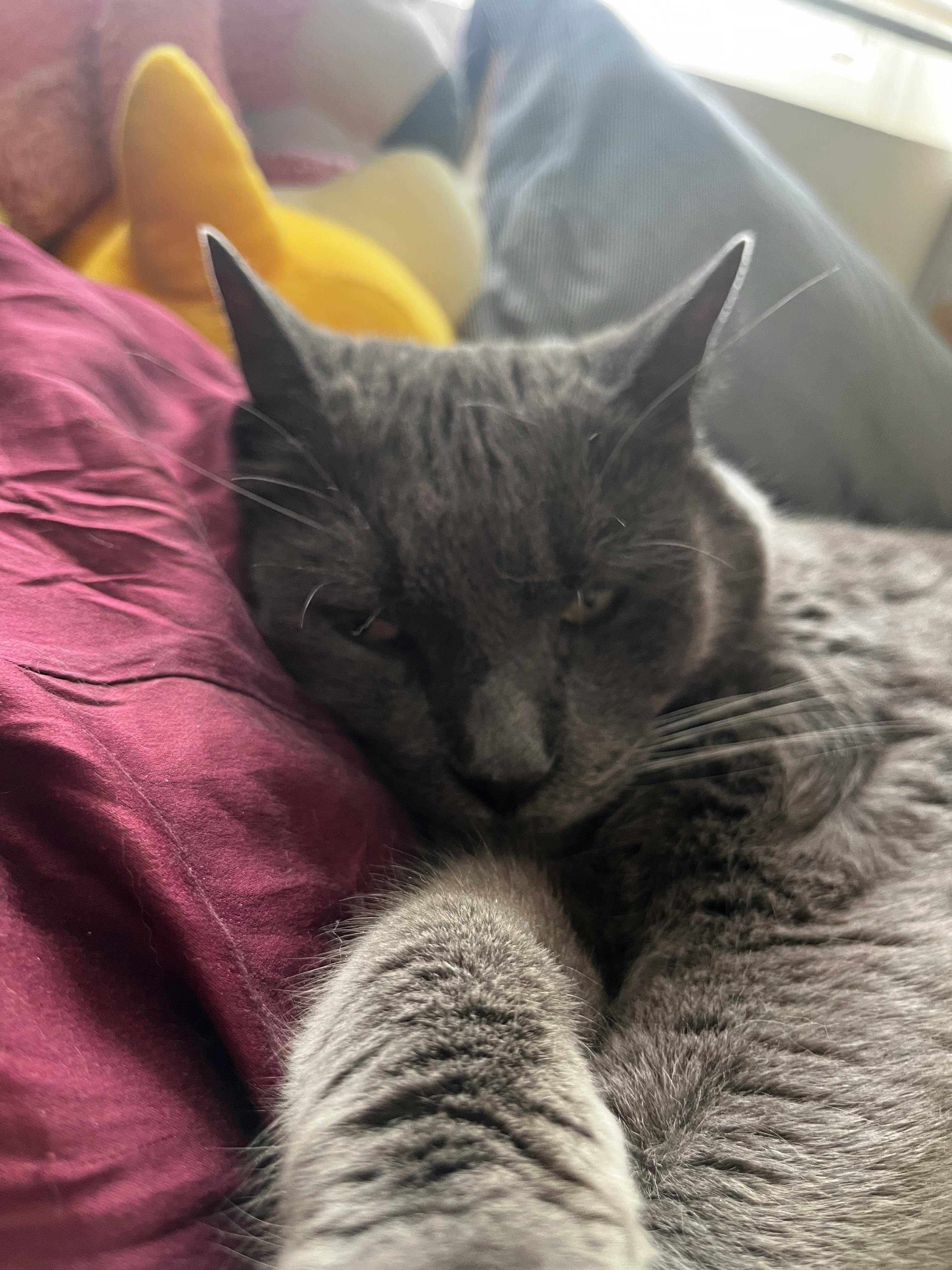 user avatar image for Grayson 