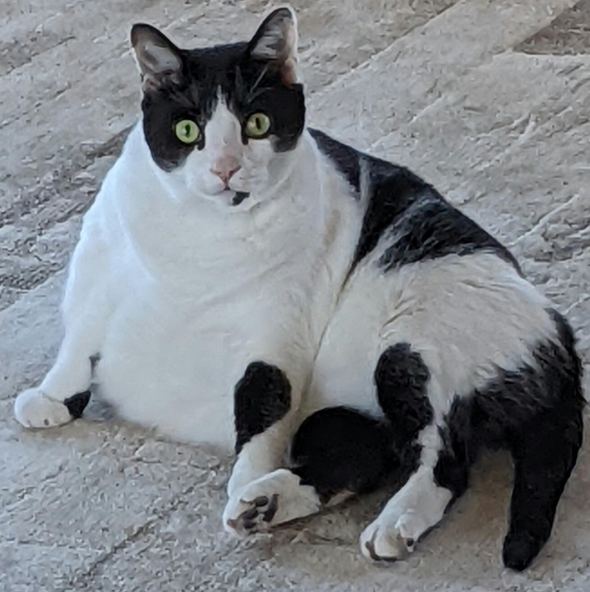 user avatar image for Houston Lee Mathes