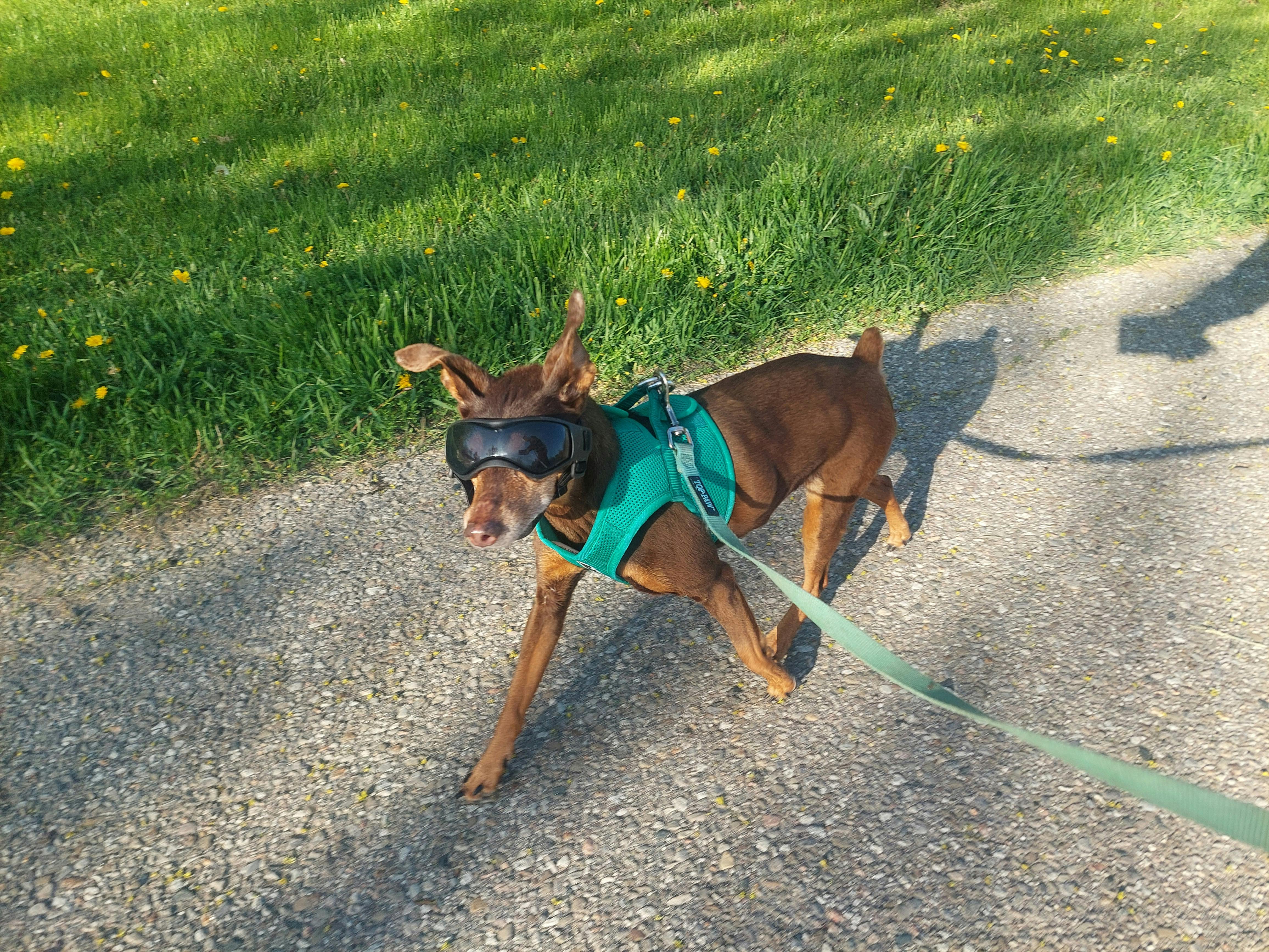 user avatar image for SecretlyBees