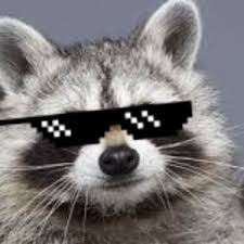 user avatar image for JigglyWho1