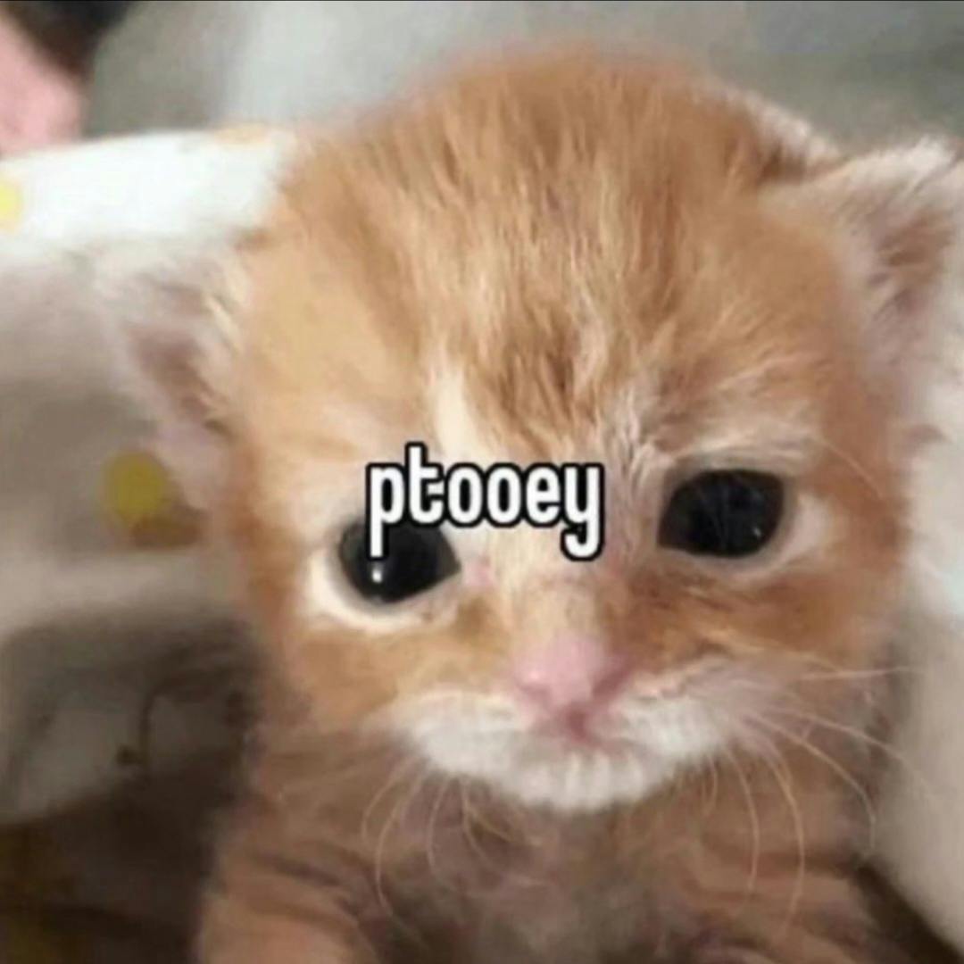 user avatar image for Kami