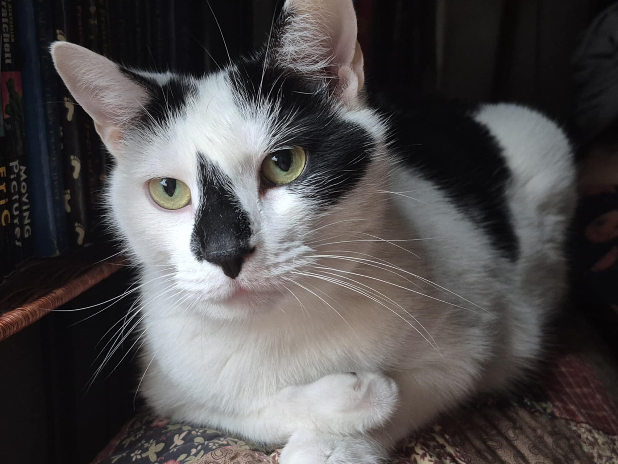 user avatar image for Ralph Morgan