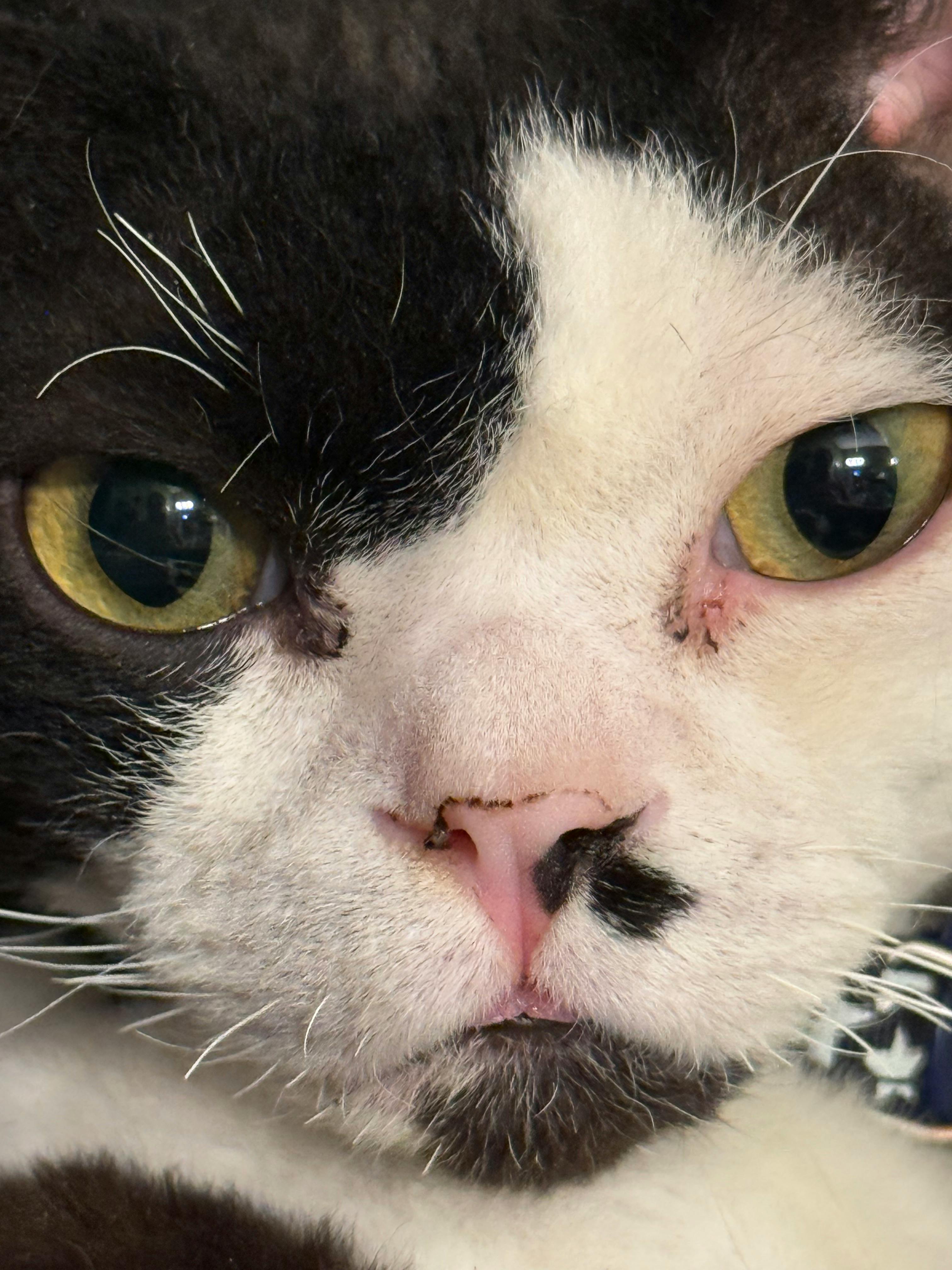 user avatar image for Lune