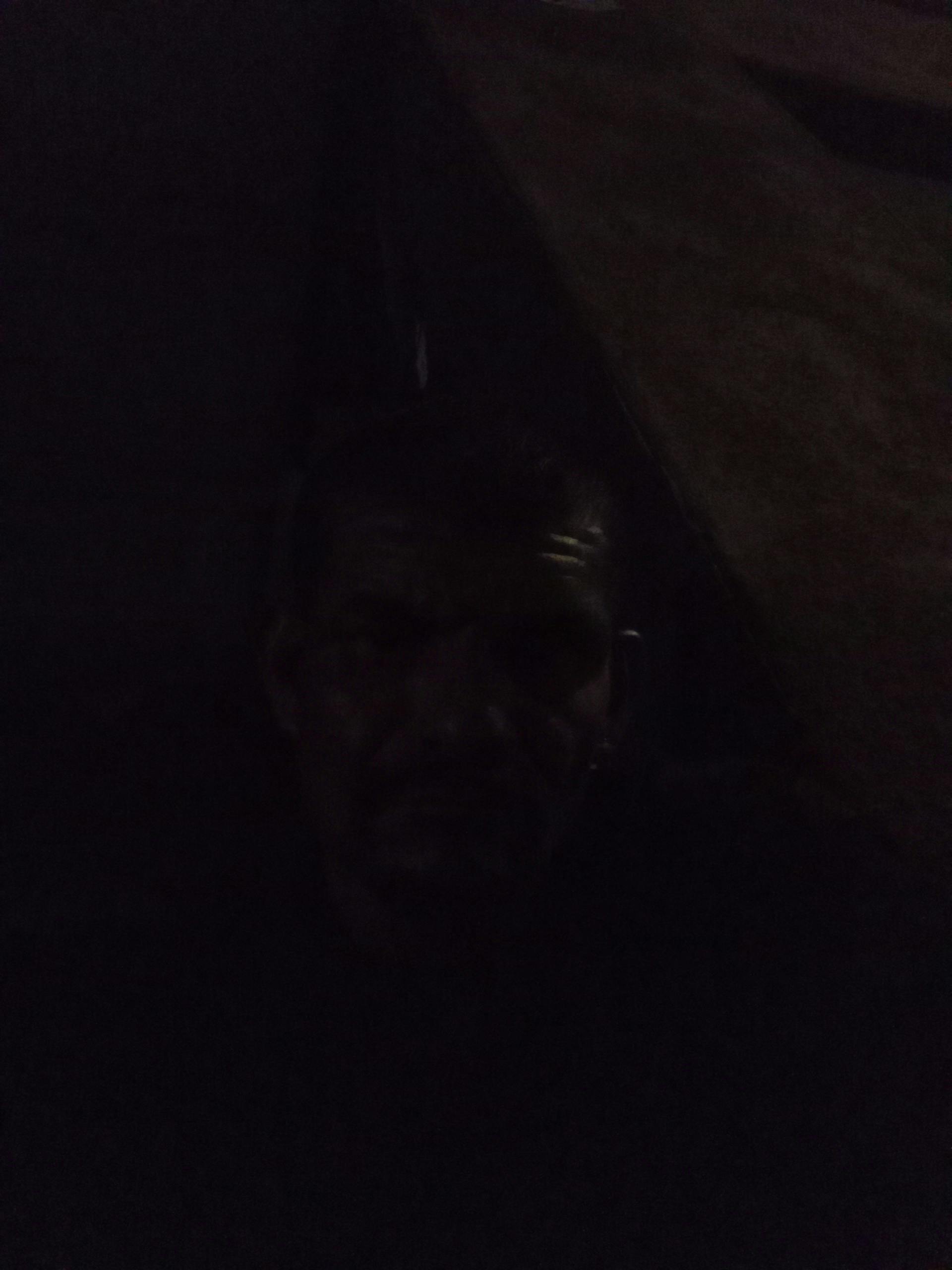 user avatar image for Eddy 