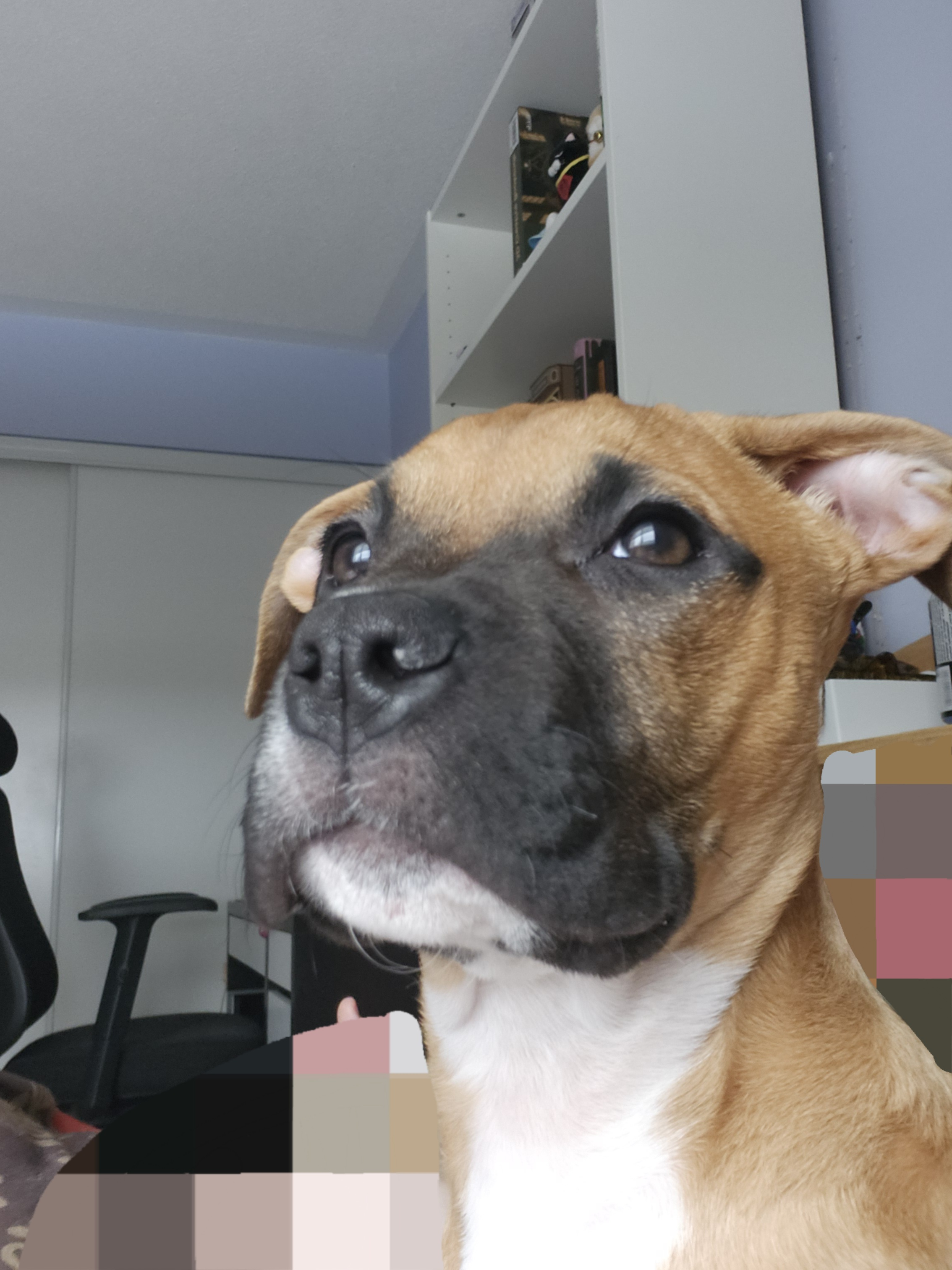 user avatar image for Daisy 2026