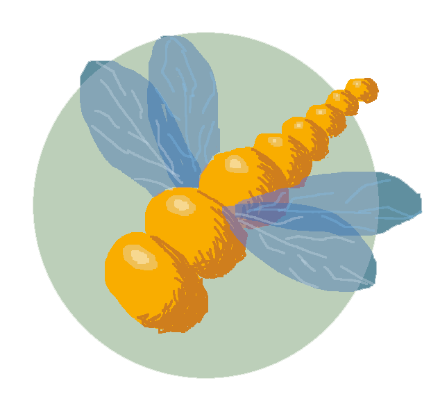 user avatar image for ButterDragonFly