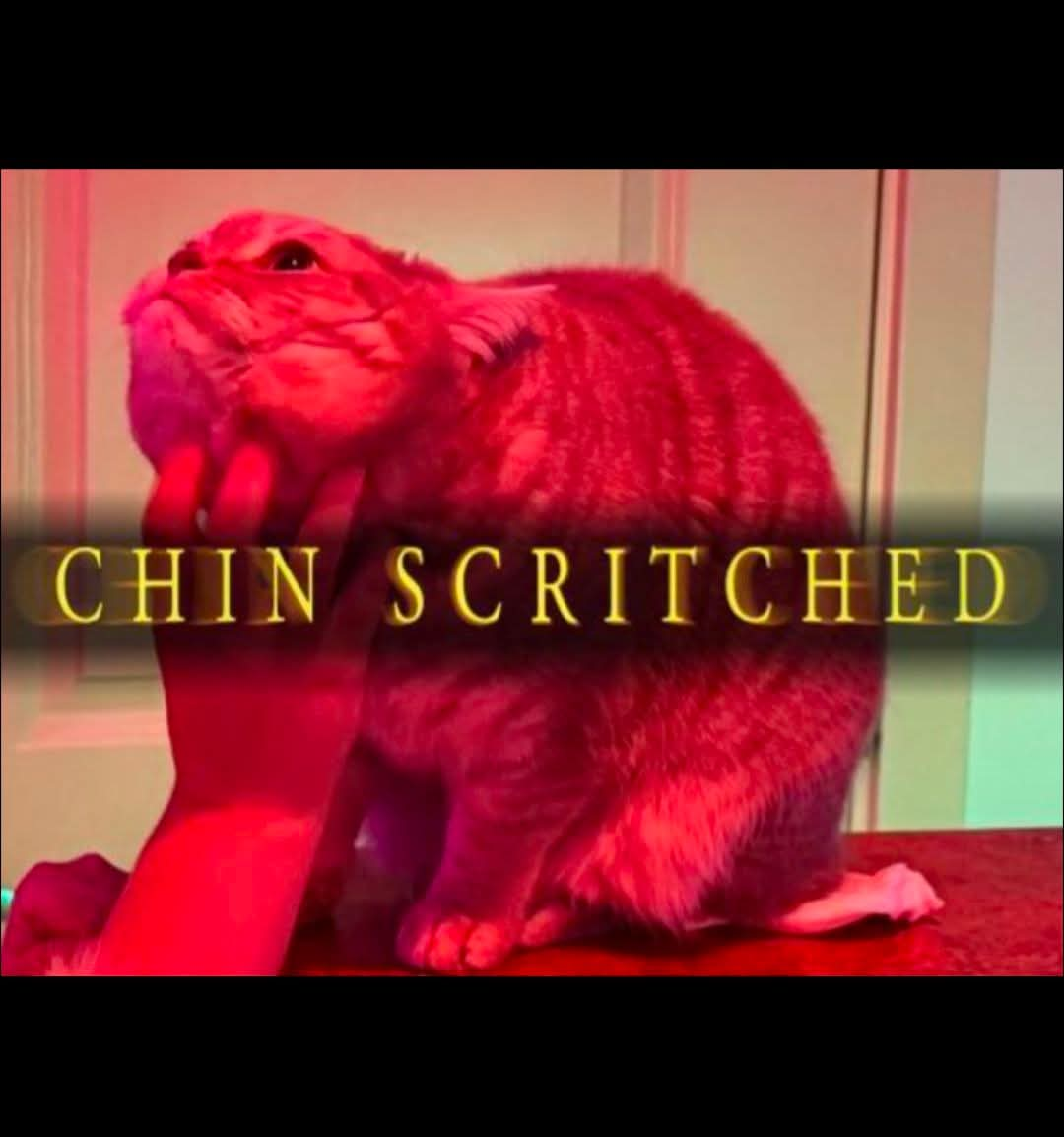 user avatar image for Up1nF1am3s