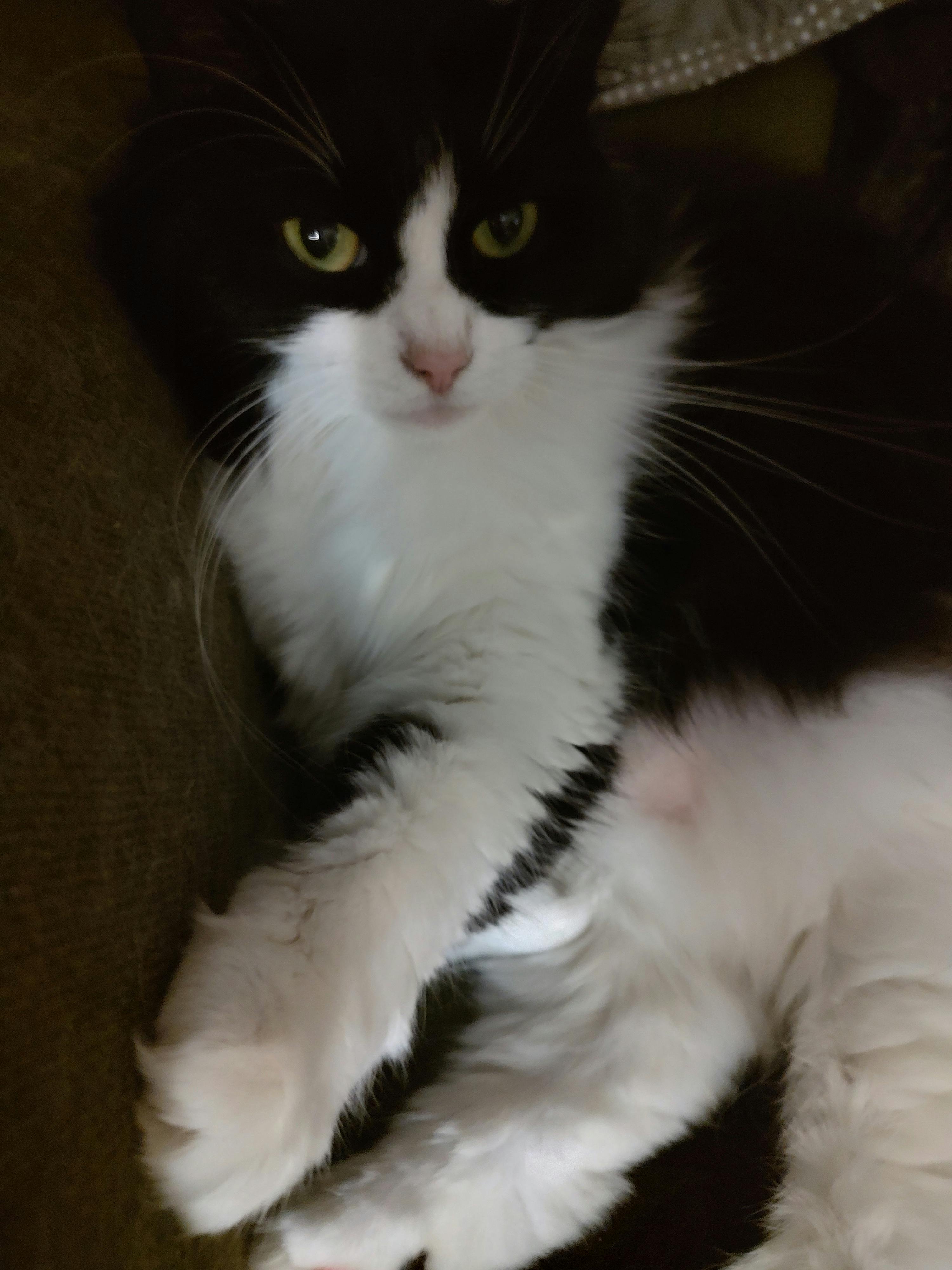 user avatar image for Noel Johnson