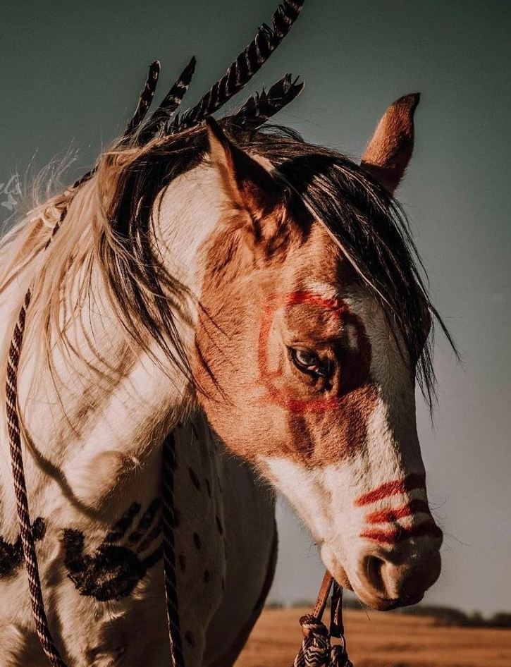 user avatar image for Warpony