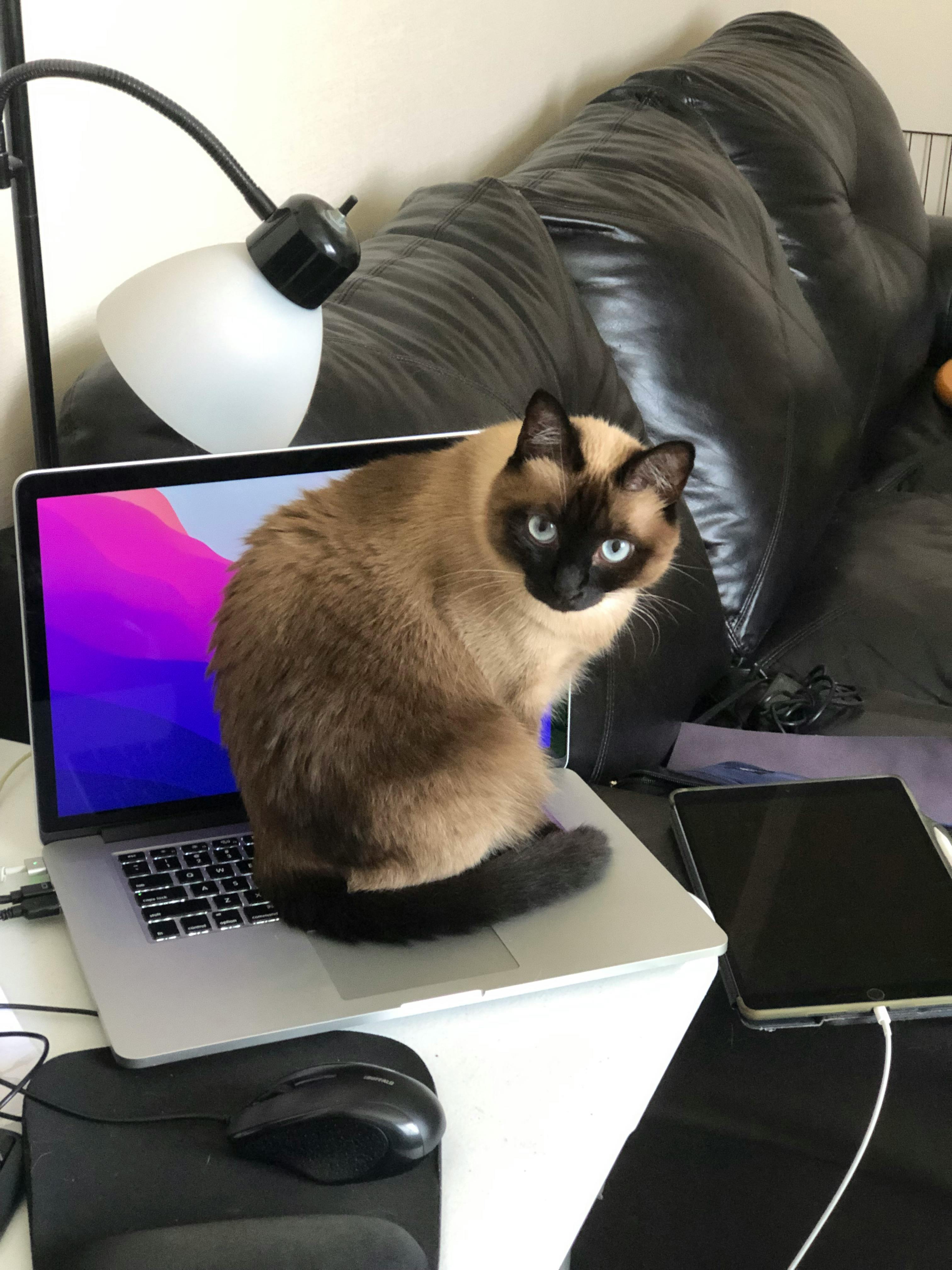 user avatar image for Anthony Pieper