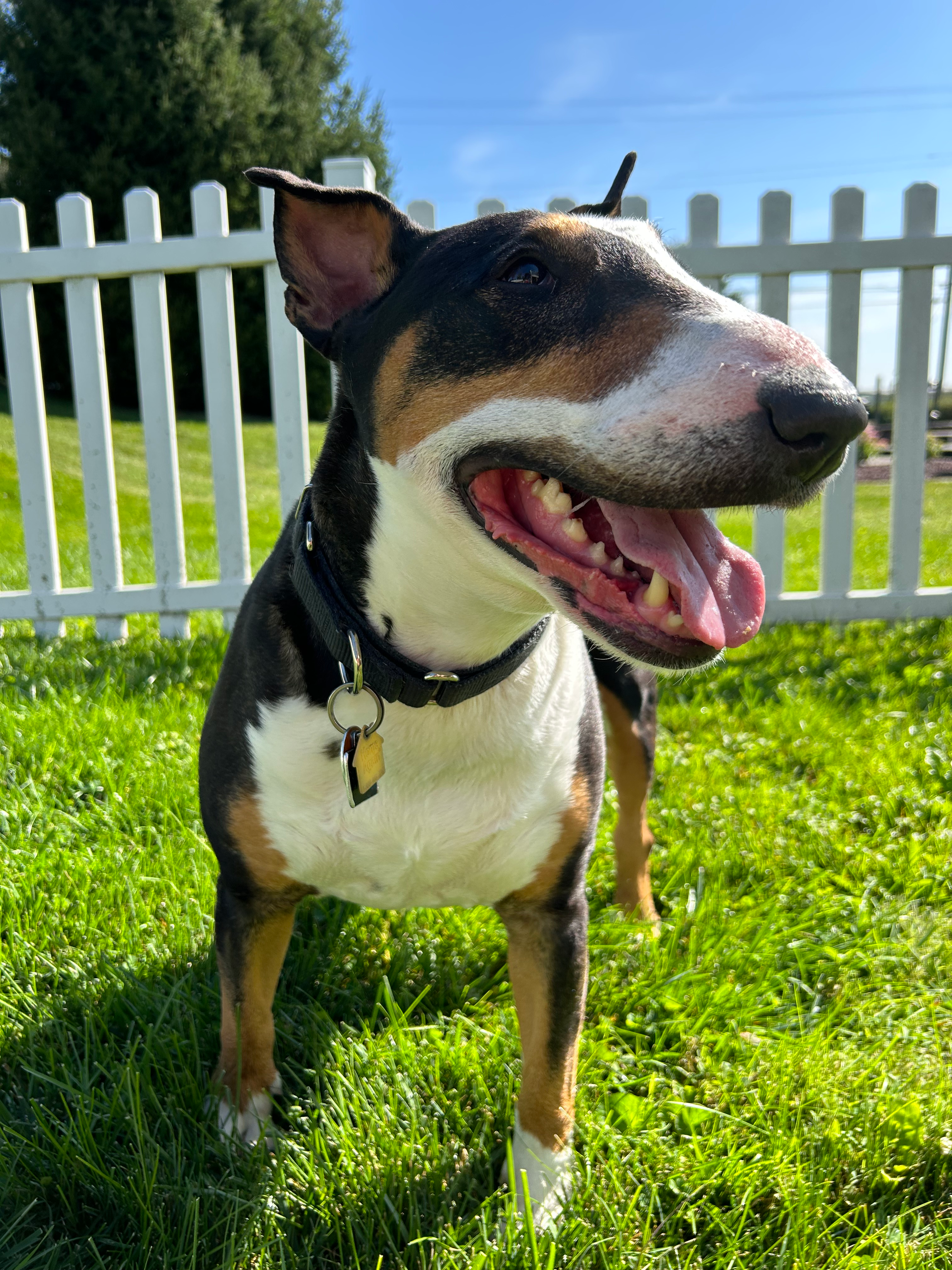 user avatar image for Sunnehdaze