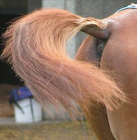 user avatar image for Bill Glasgow