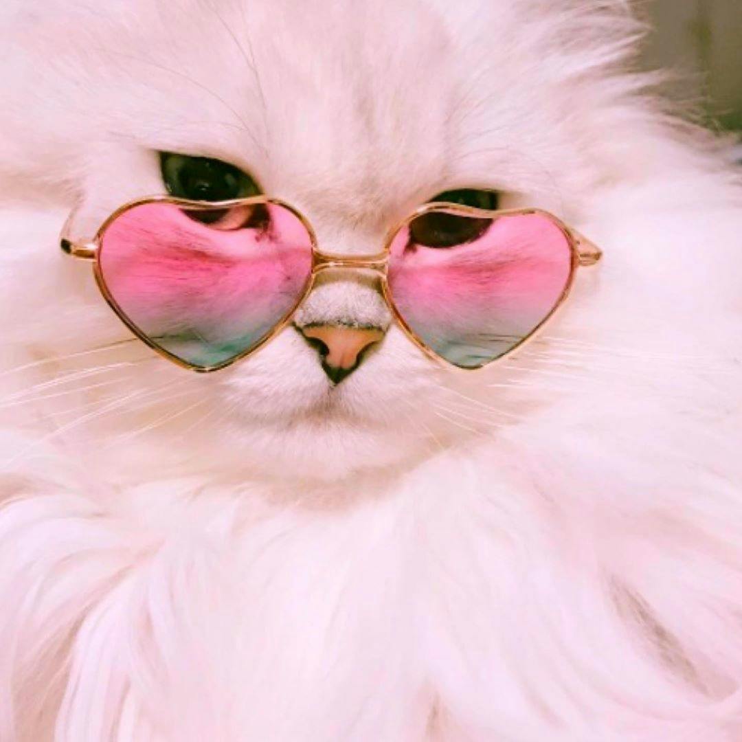 user avatar image for manabananabuns