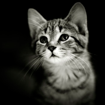 user avatar image for Stanislav