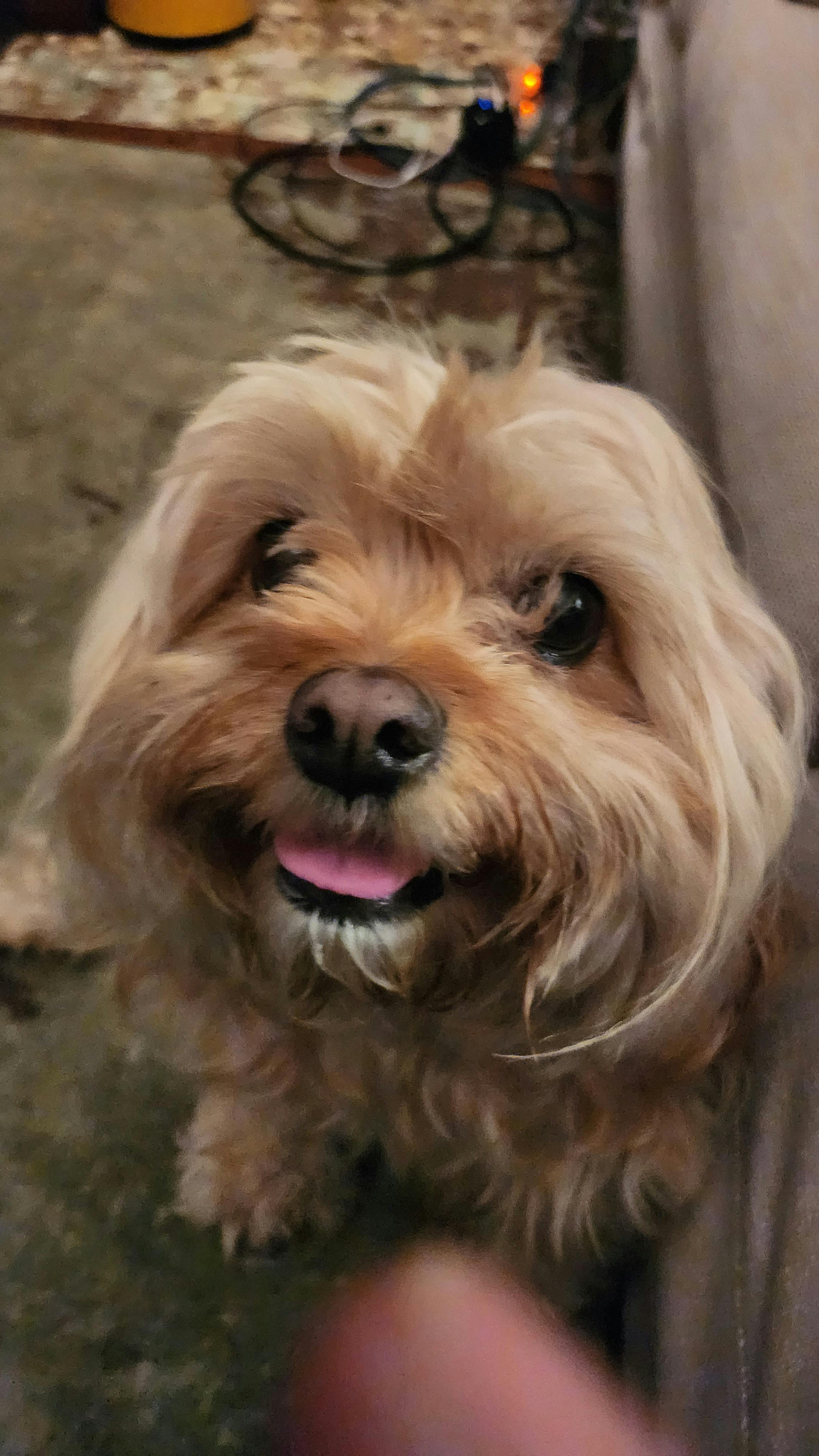 user avatar image for RSebastianY