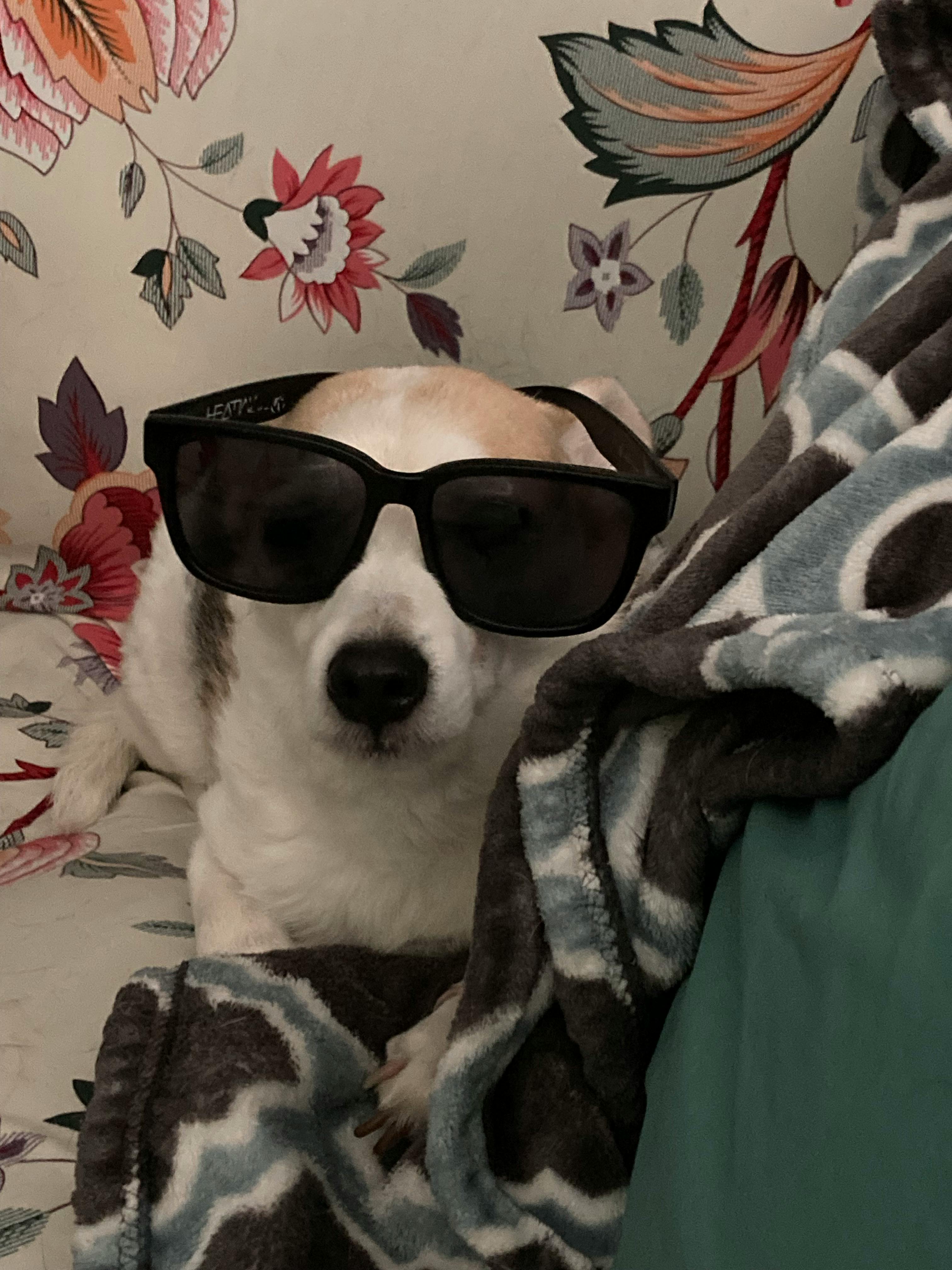 user avatar image for Ria