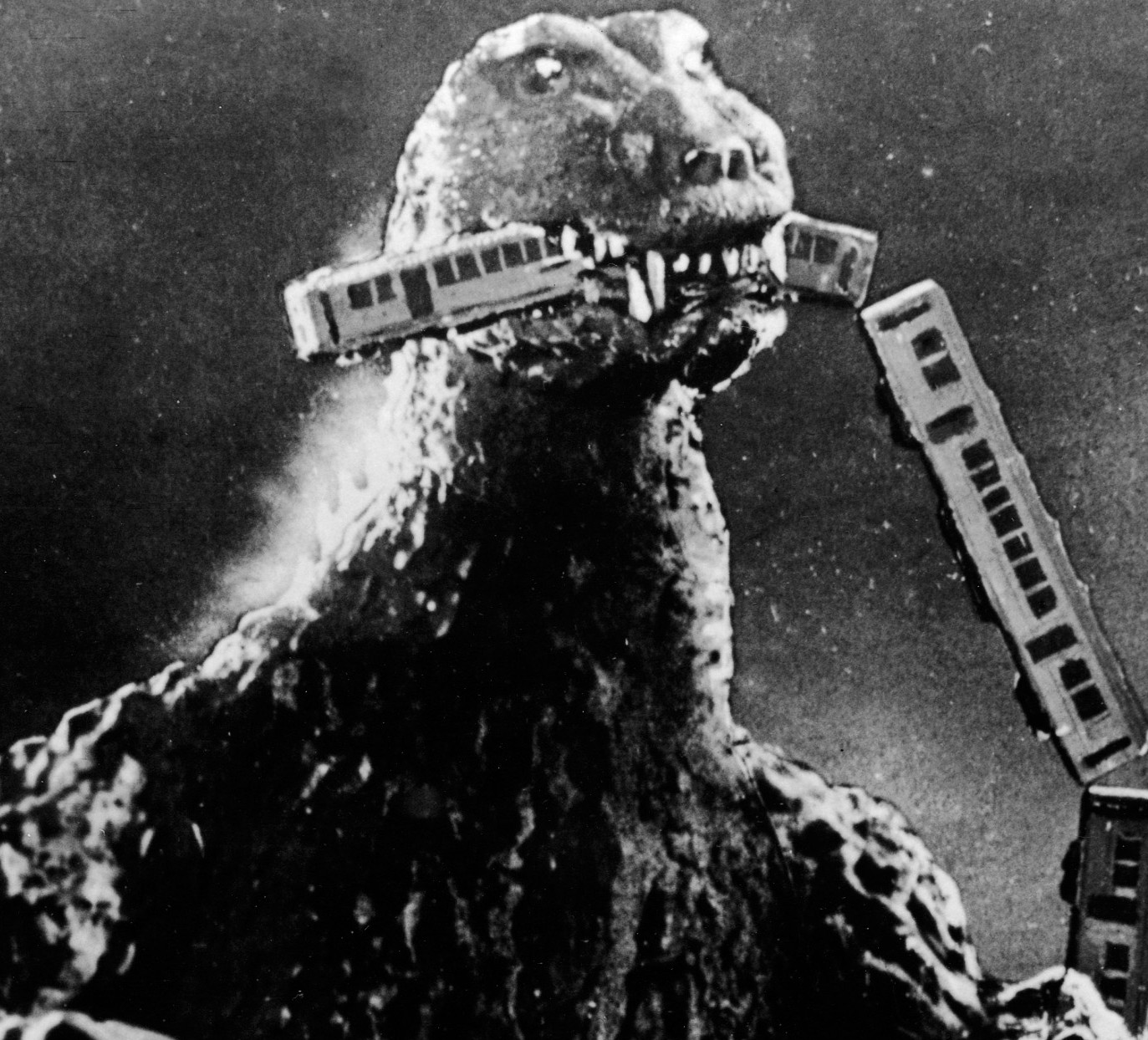 user avatar image for Stosedem