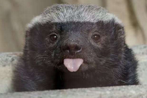 user avatar image for Kelley Jo Brown