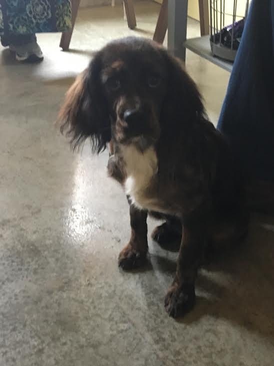 user avatar image for Patrick Gaffney