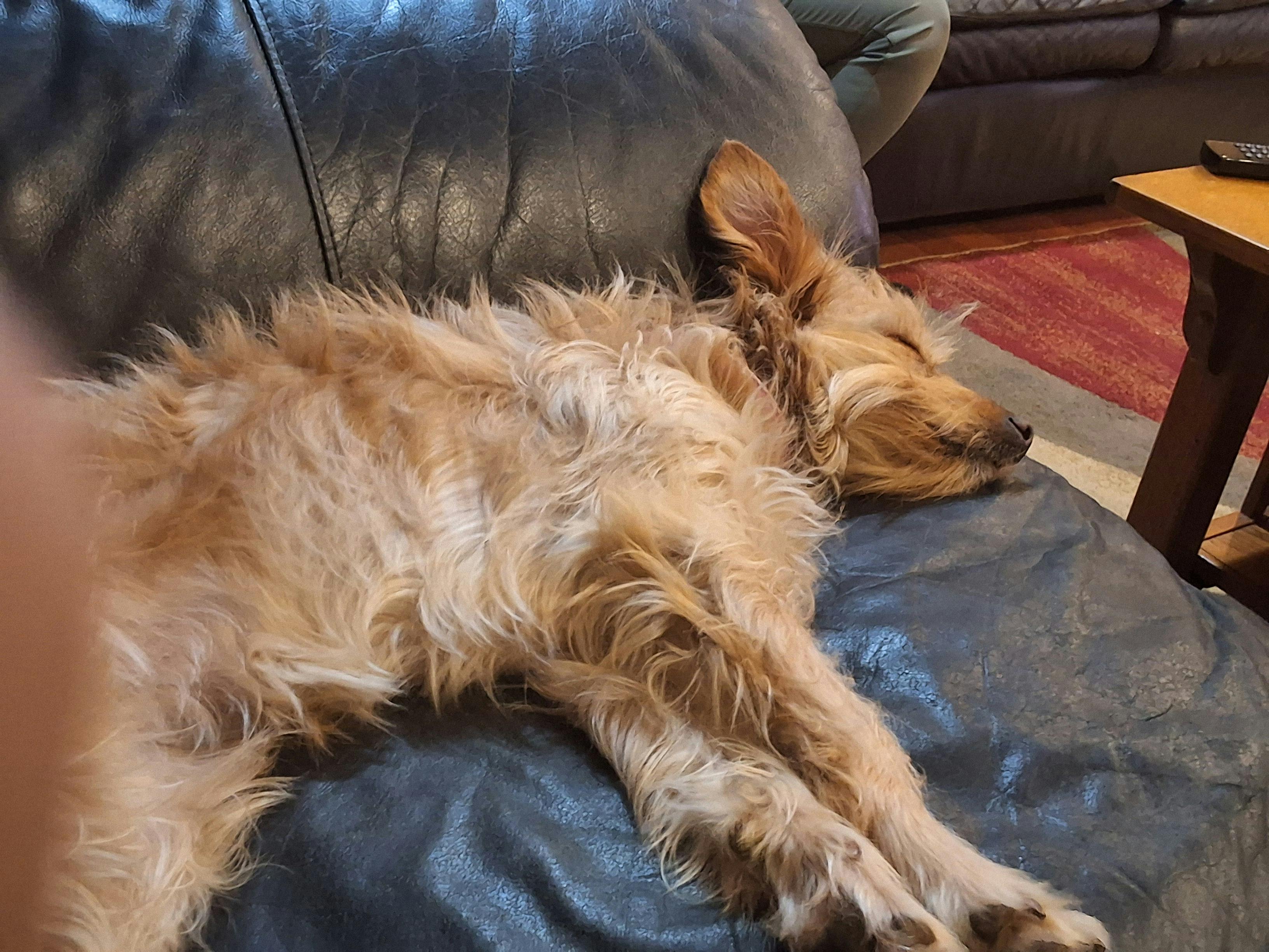 user avatar image for Len Janson 