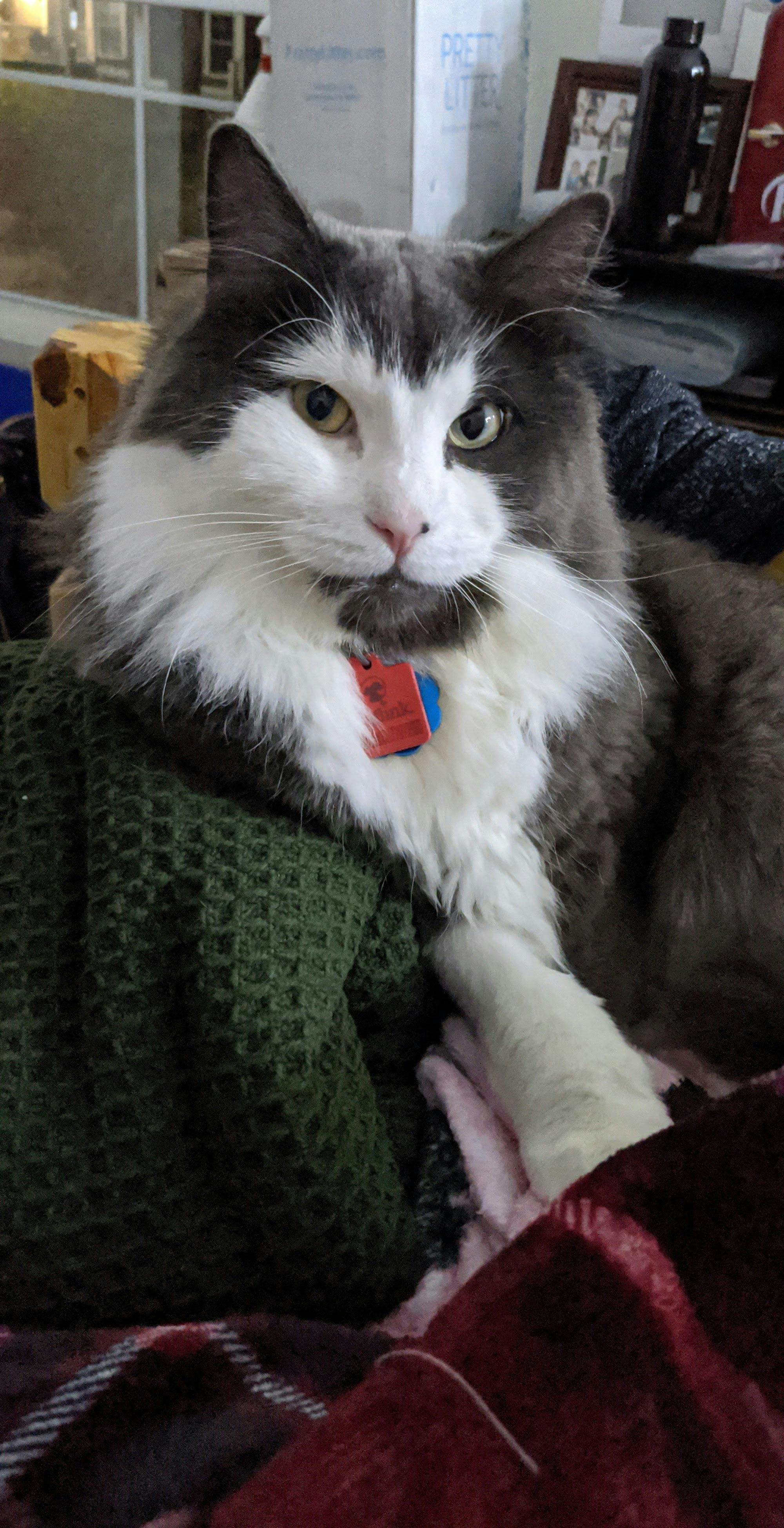 user avatar image for Lia 