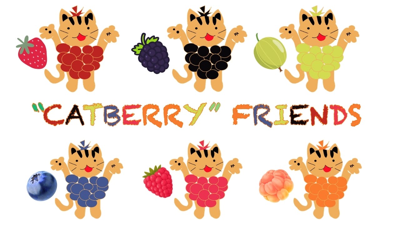 🫐 Mash-Up Friends: CATBERRY Friends 🍓