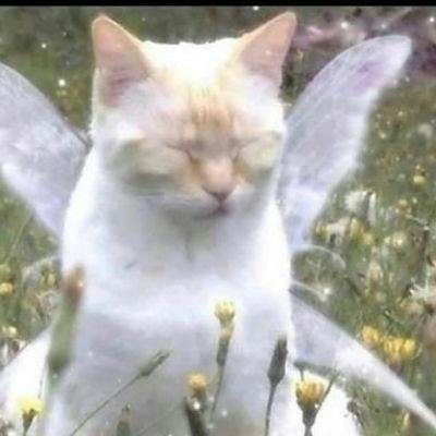 user avatar image for Sihaya 