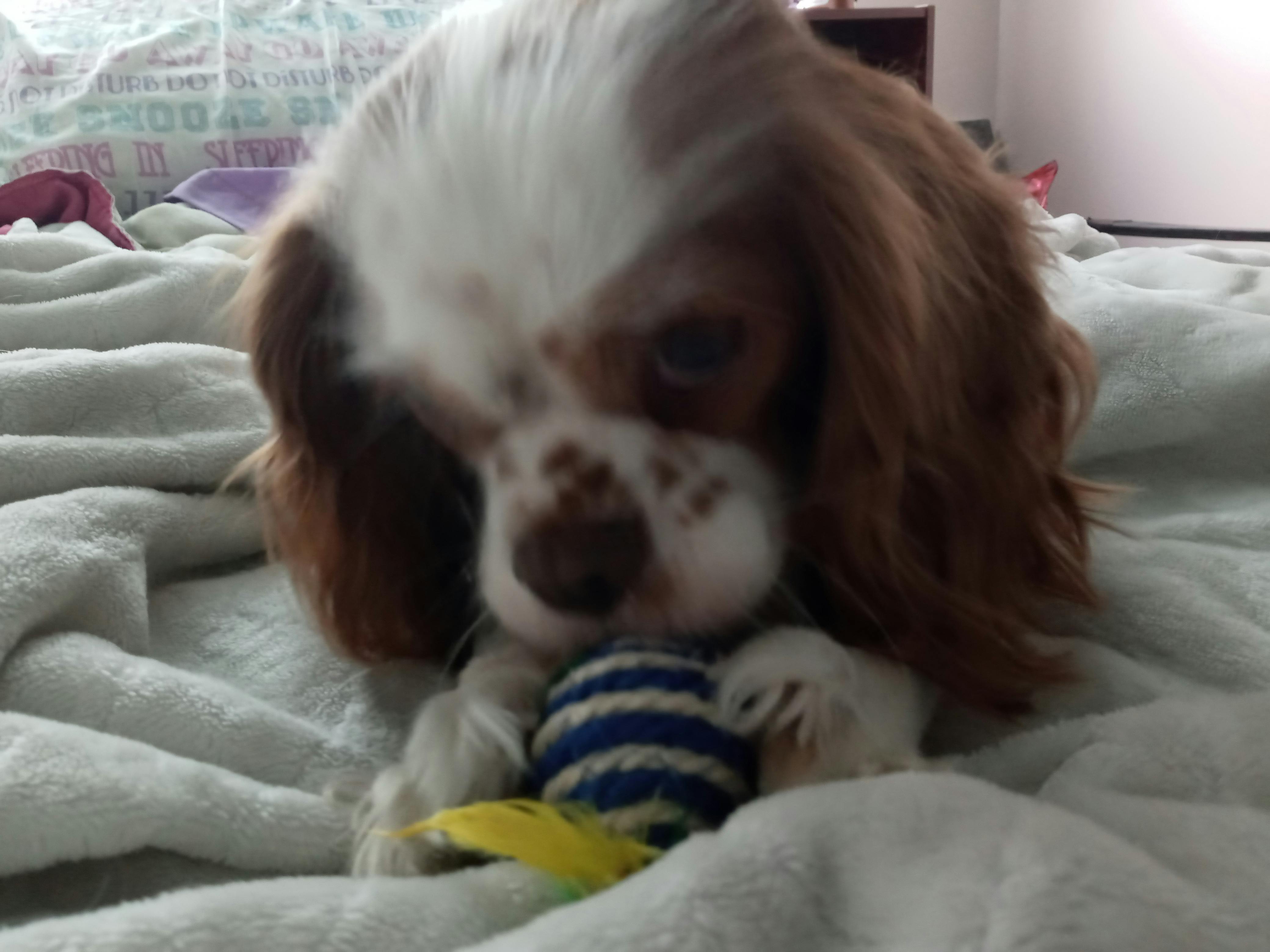 user avatar image for Azvee